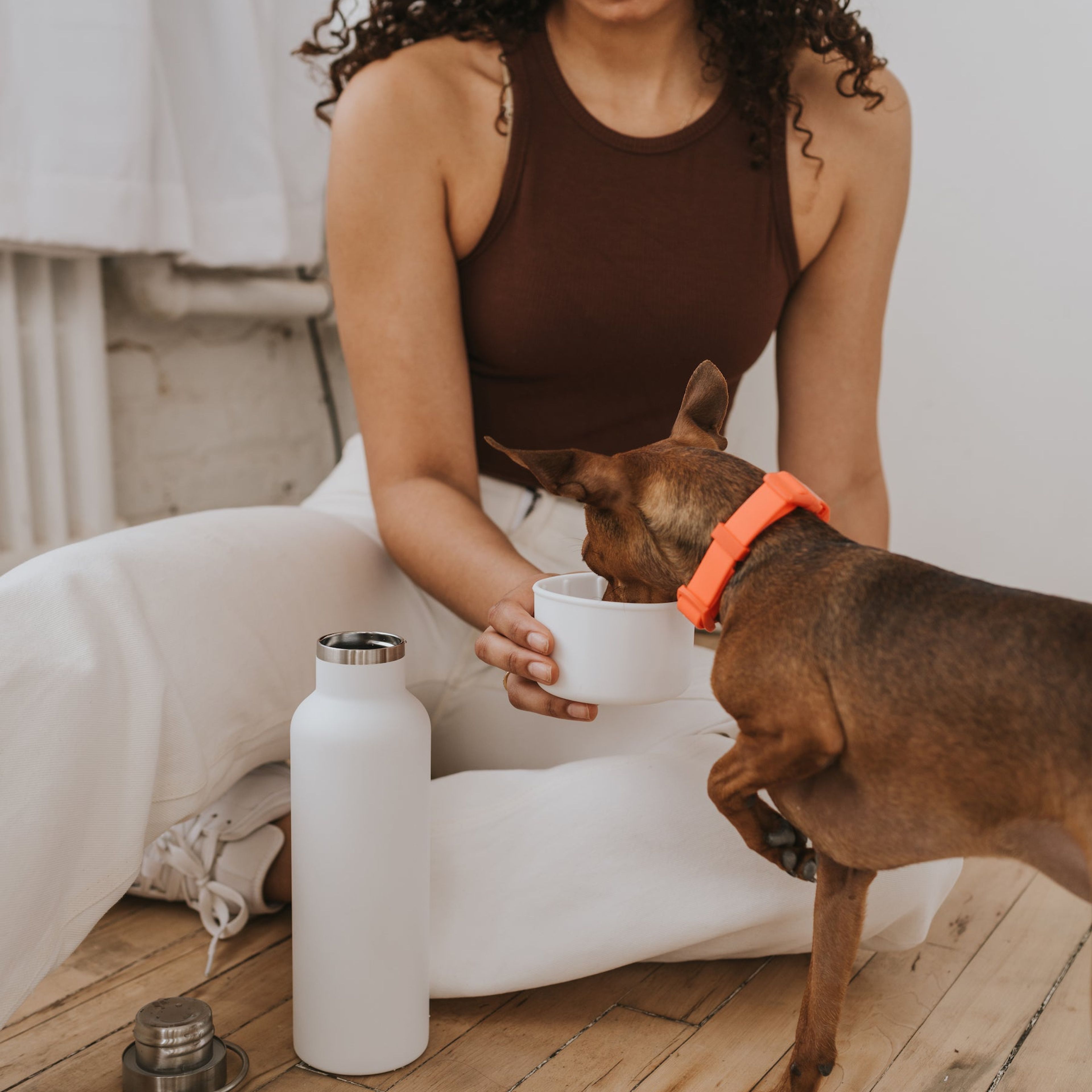 Dog & Me Insulated Water Bottle