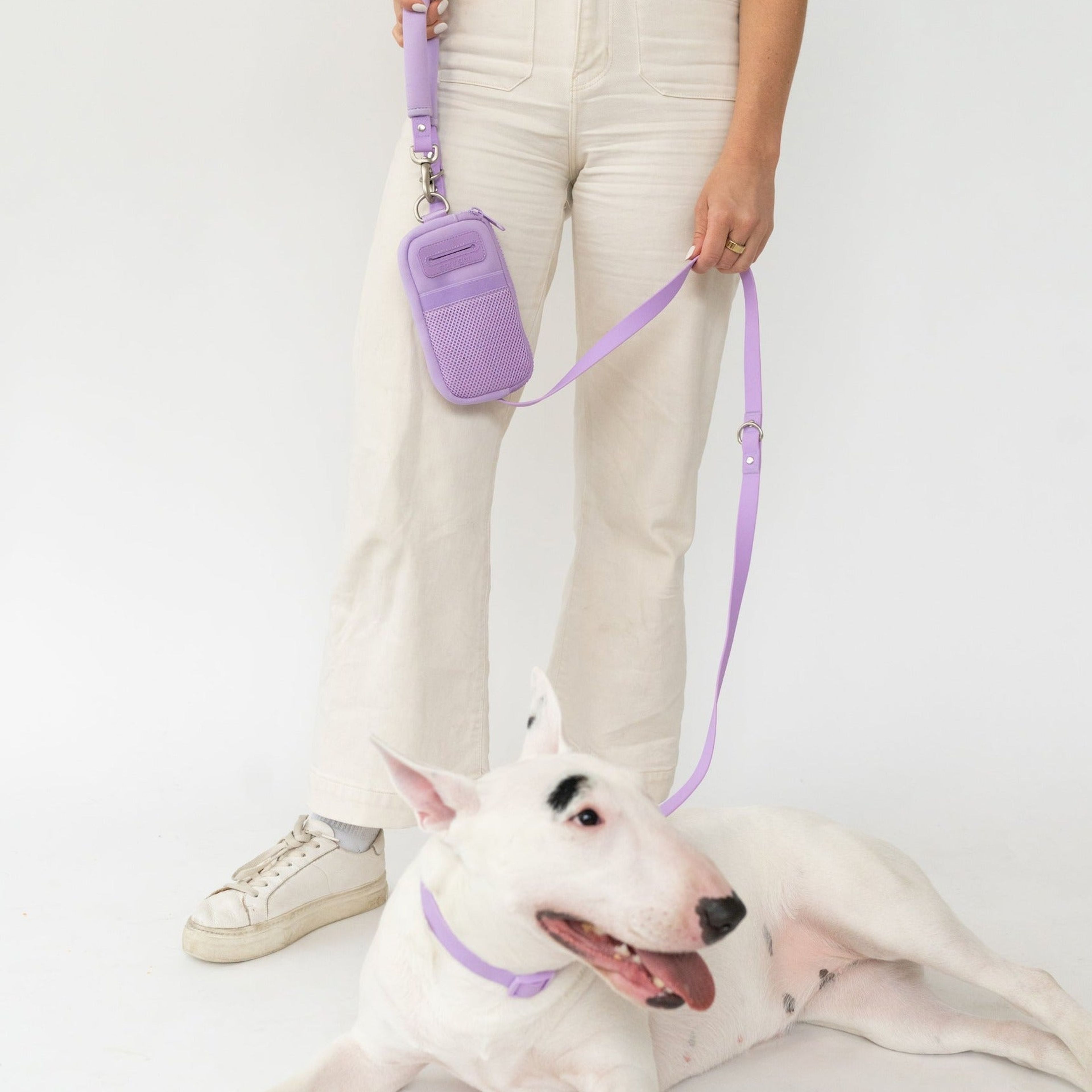 Walk Bag + Dog Leash
