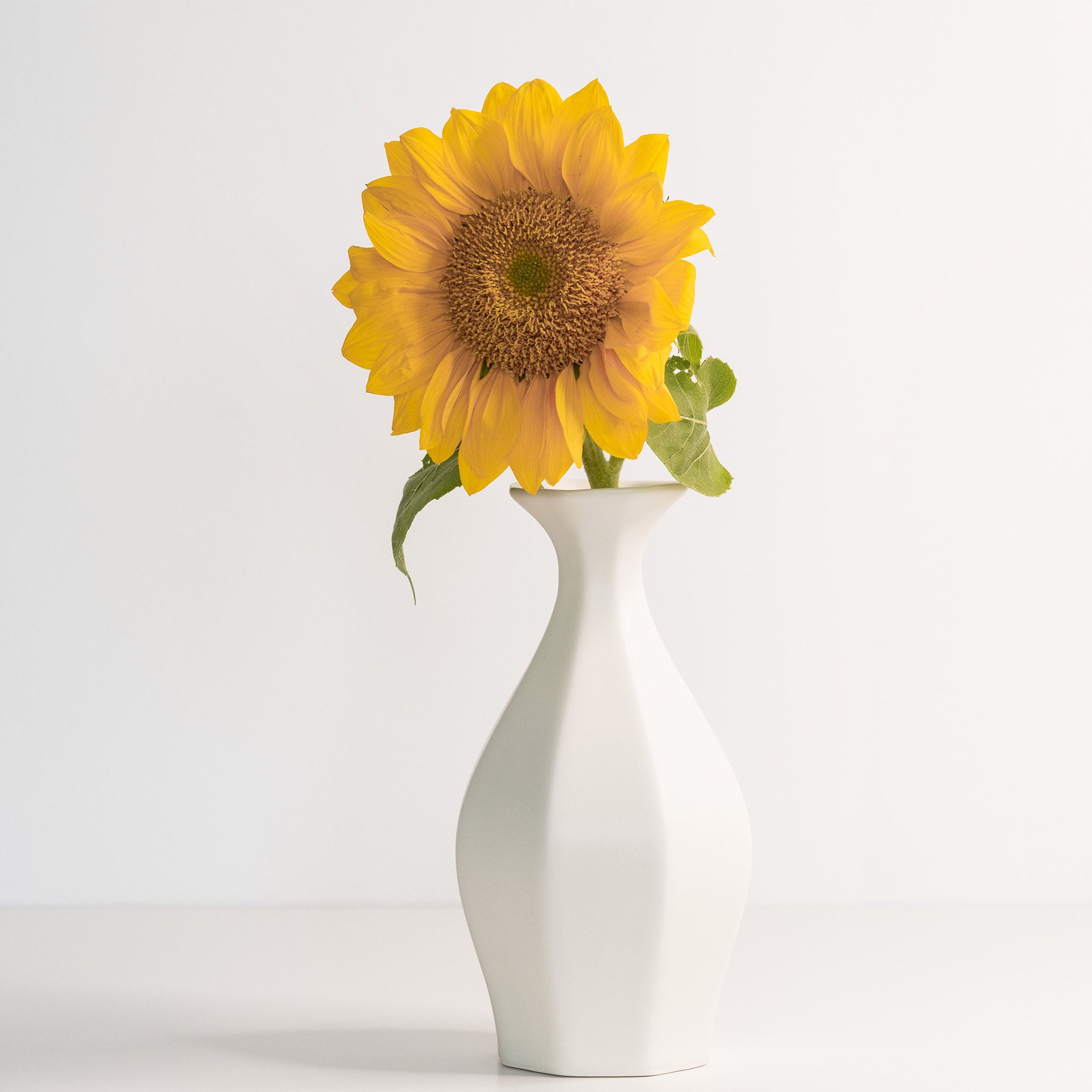 Porcelain Table Flower Vase