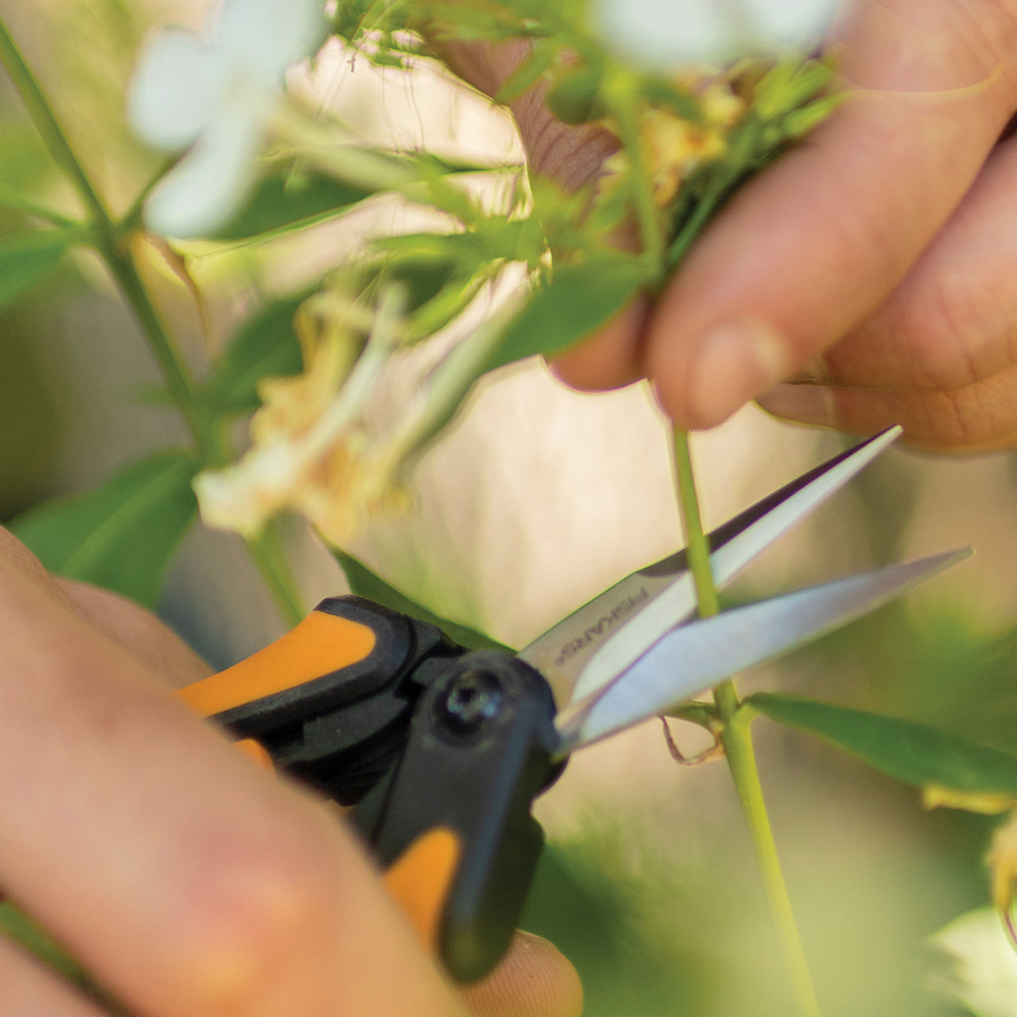 Micro-Tip Pruning Snips