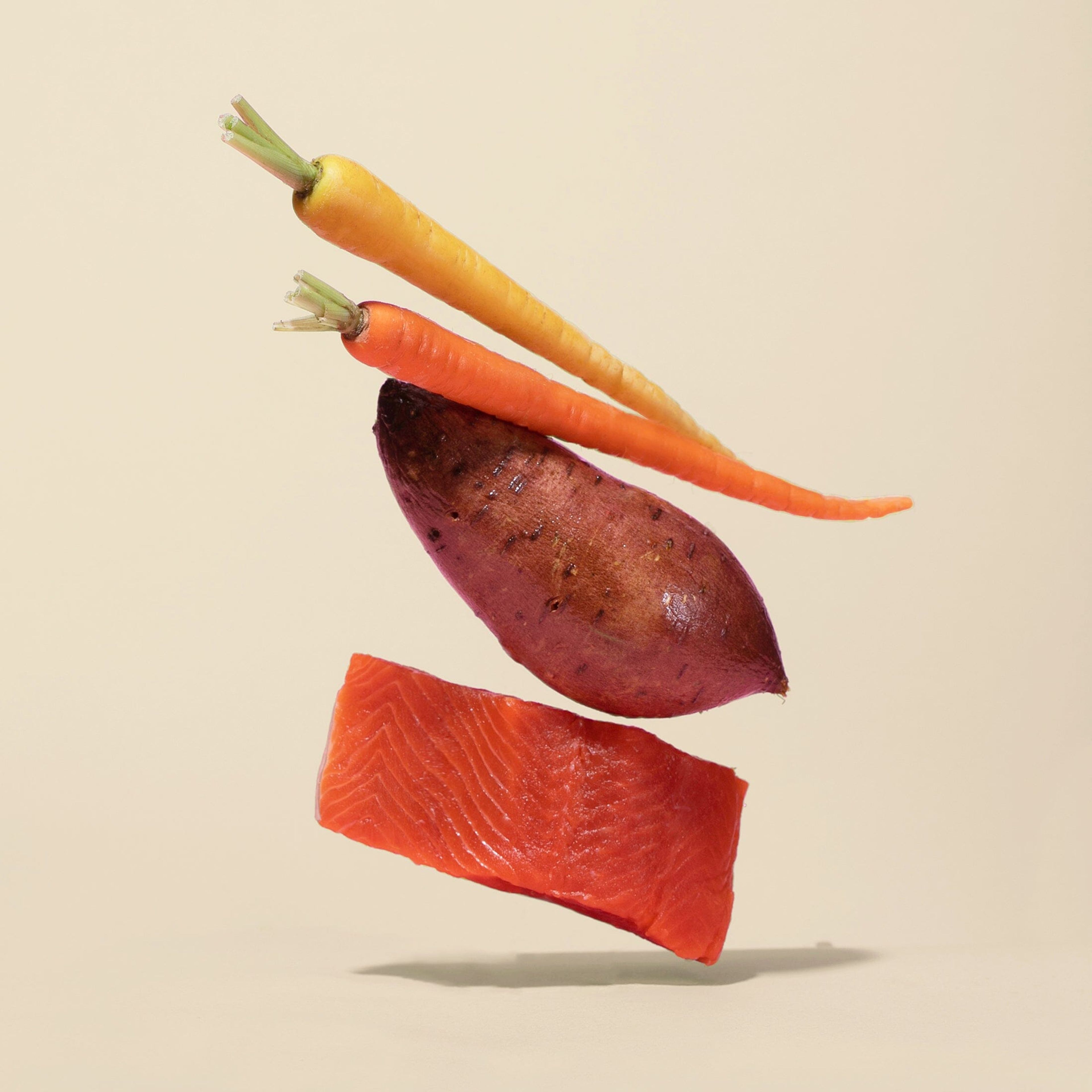 Grain-Free Salmon & Carrot Kibble