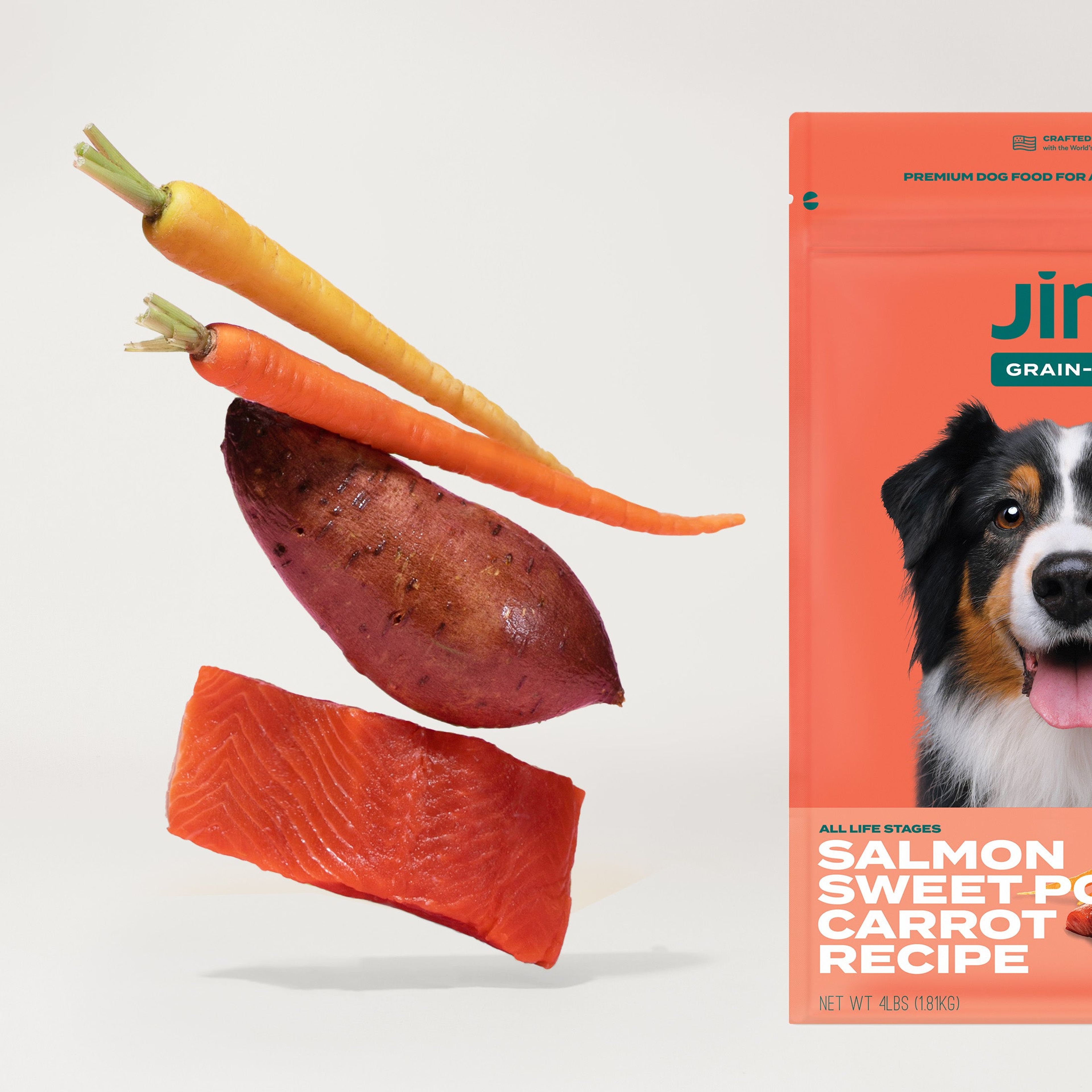 Atlantic Salmon Dog Food Sampler