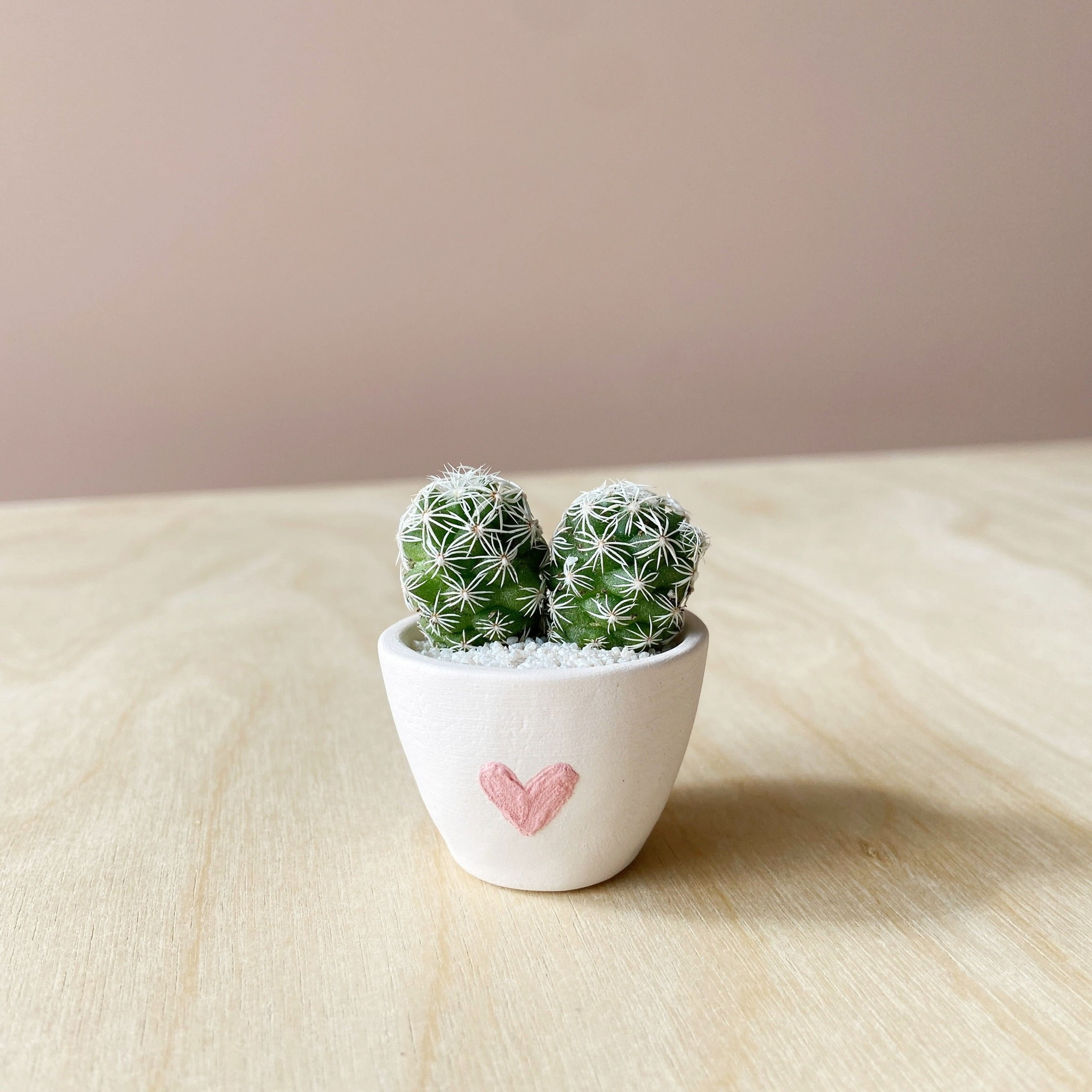 Better Together Mini Cactus and Mini Heart Planter