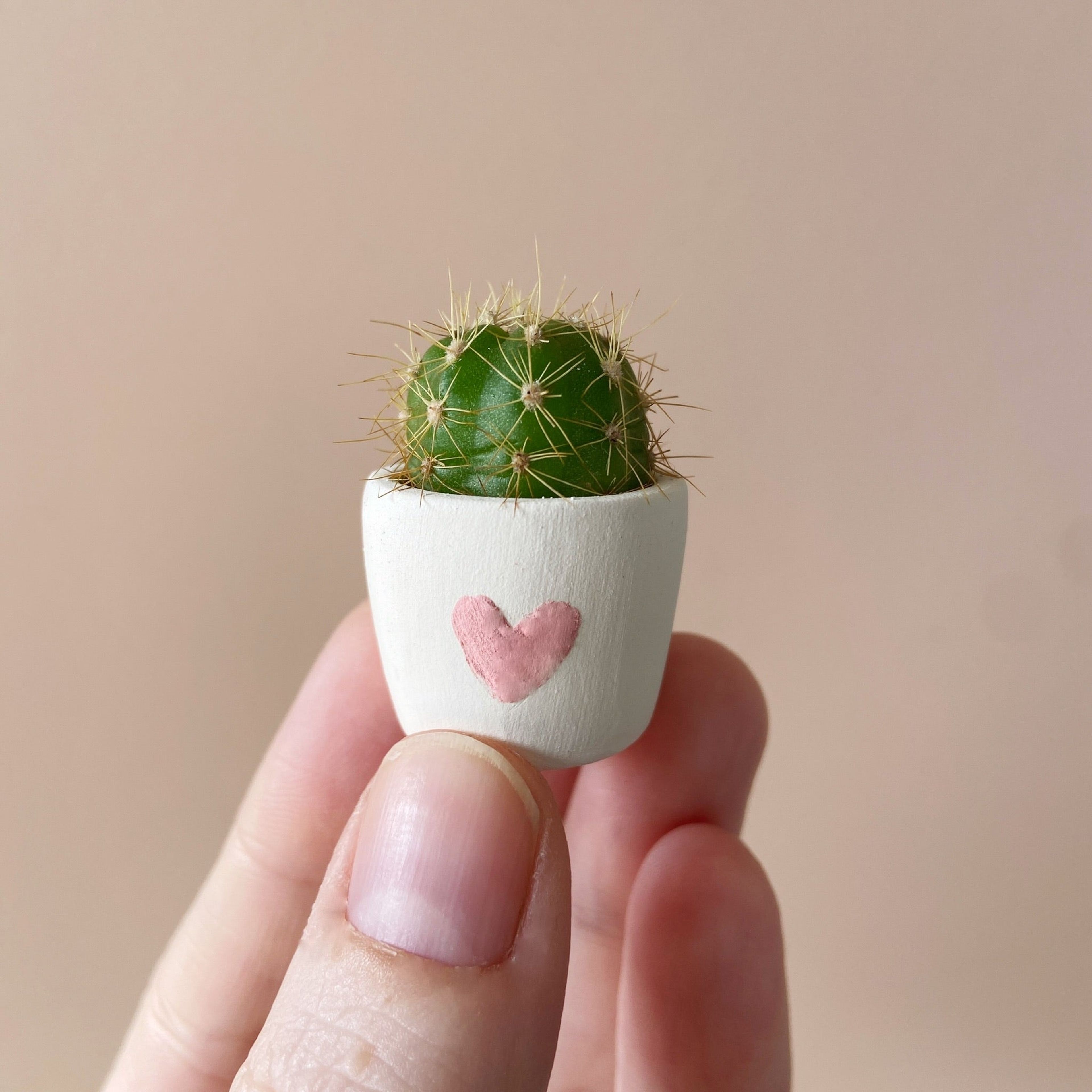Frank Mini Cactus + Handmade Mini Ceramic Planter