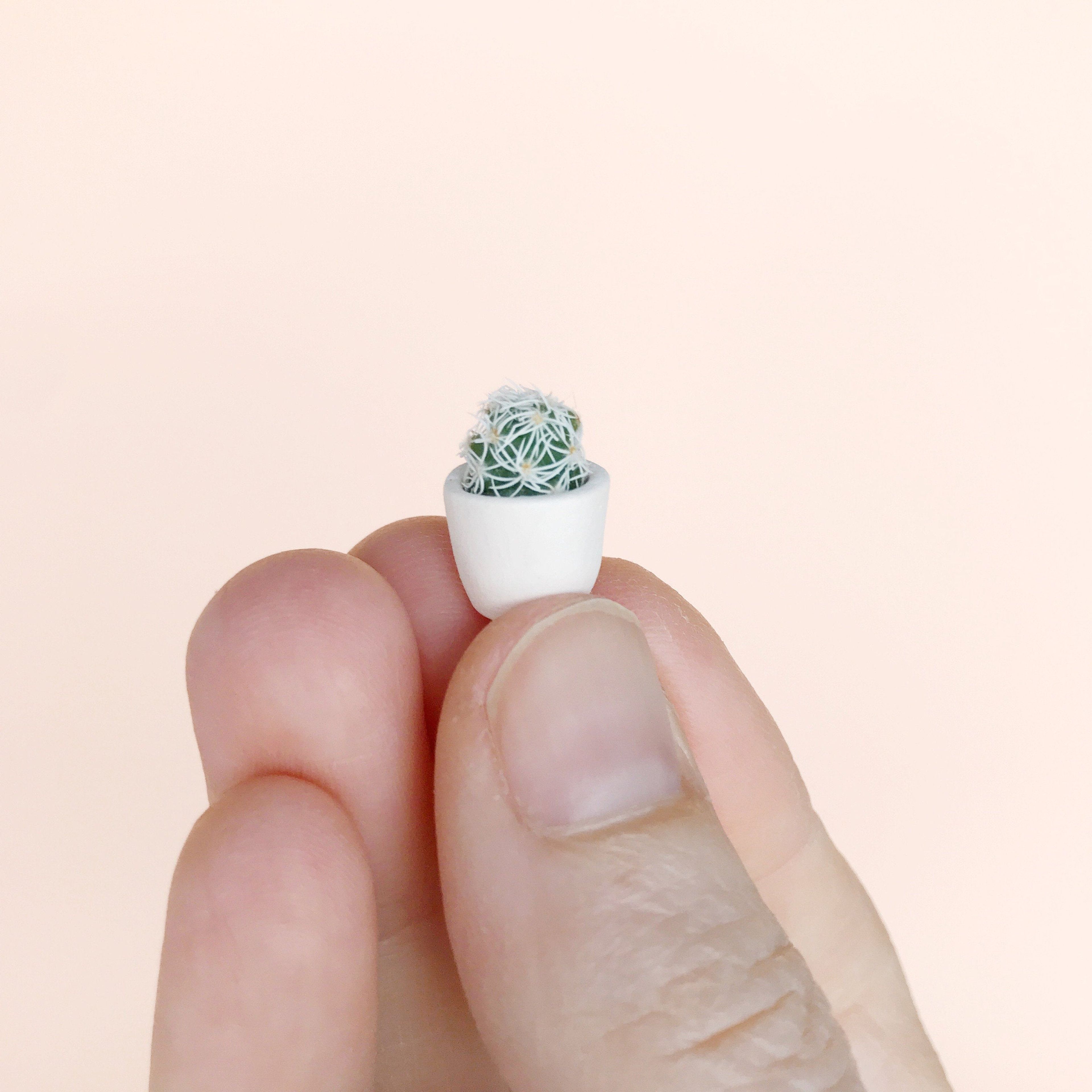 SURPRISE! Micro Mini Cactus + Handmade Ceramic Planter