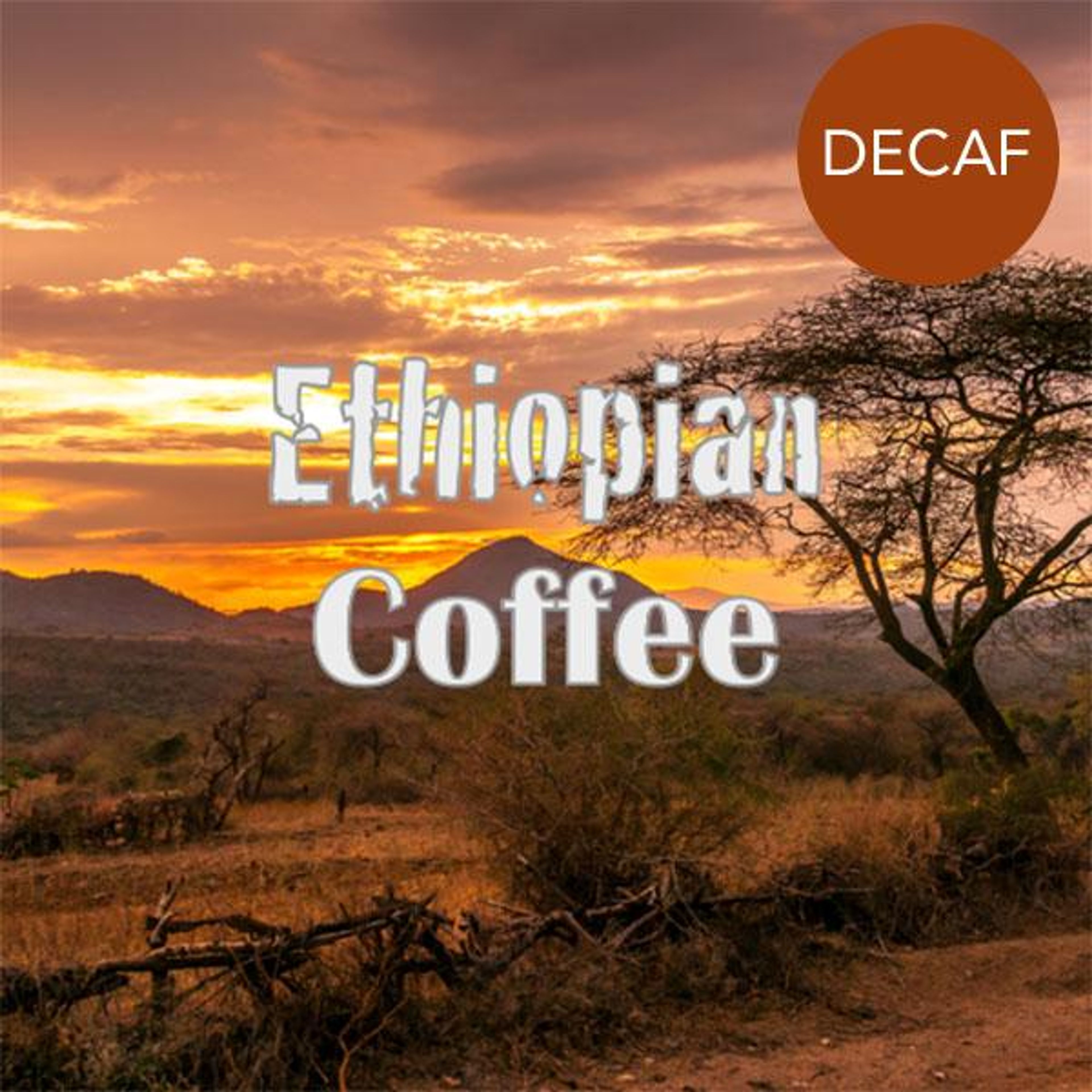 Ethiopian Yirgacheffe Decaf Coffee
