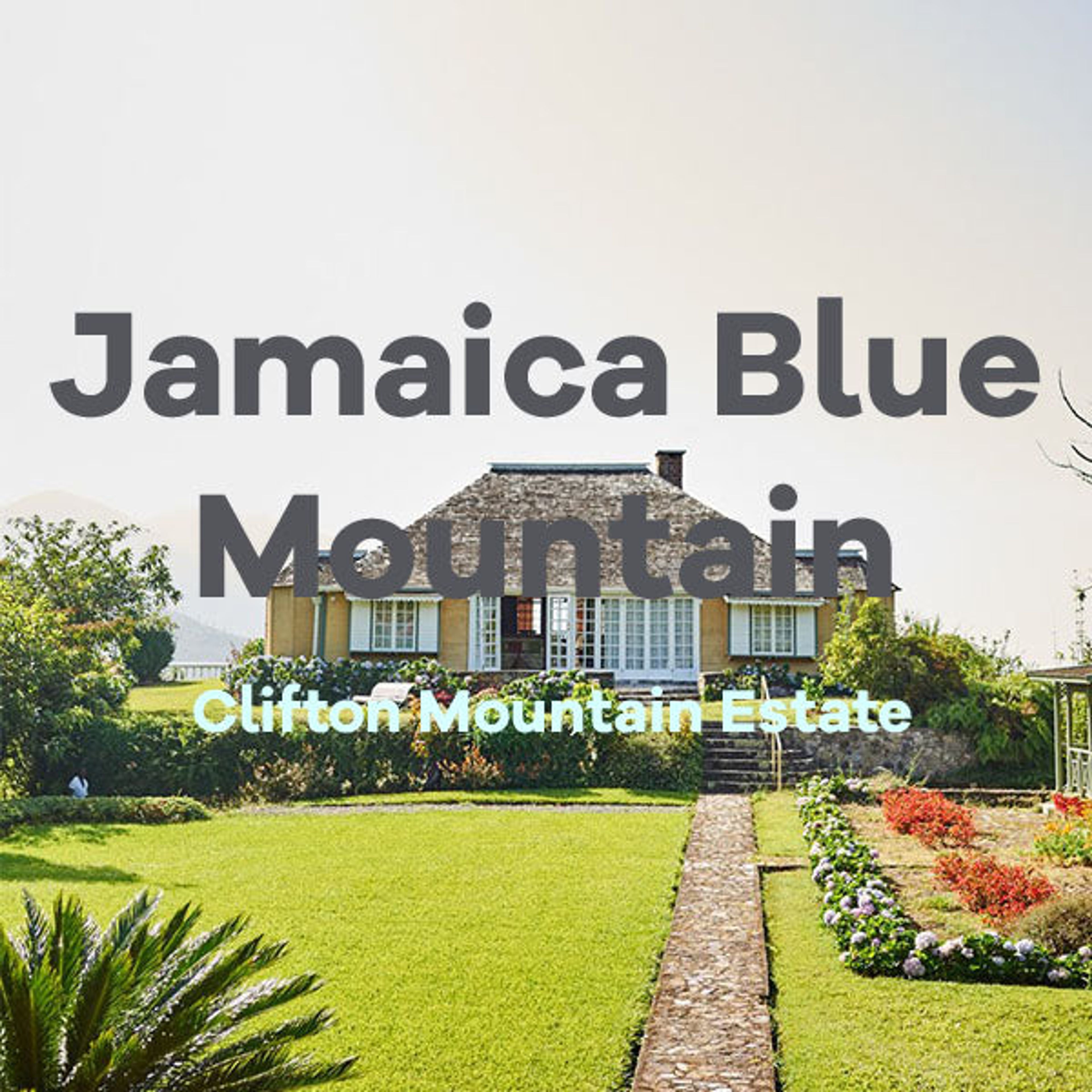 Jamaica Blue Mountains Coffee Roasters Gift Box