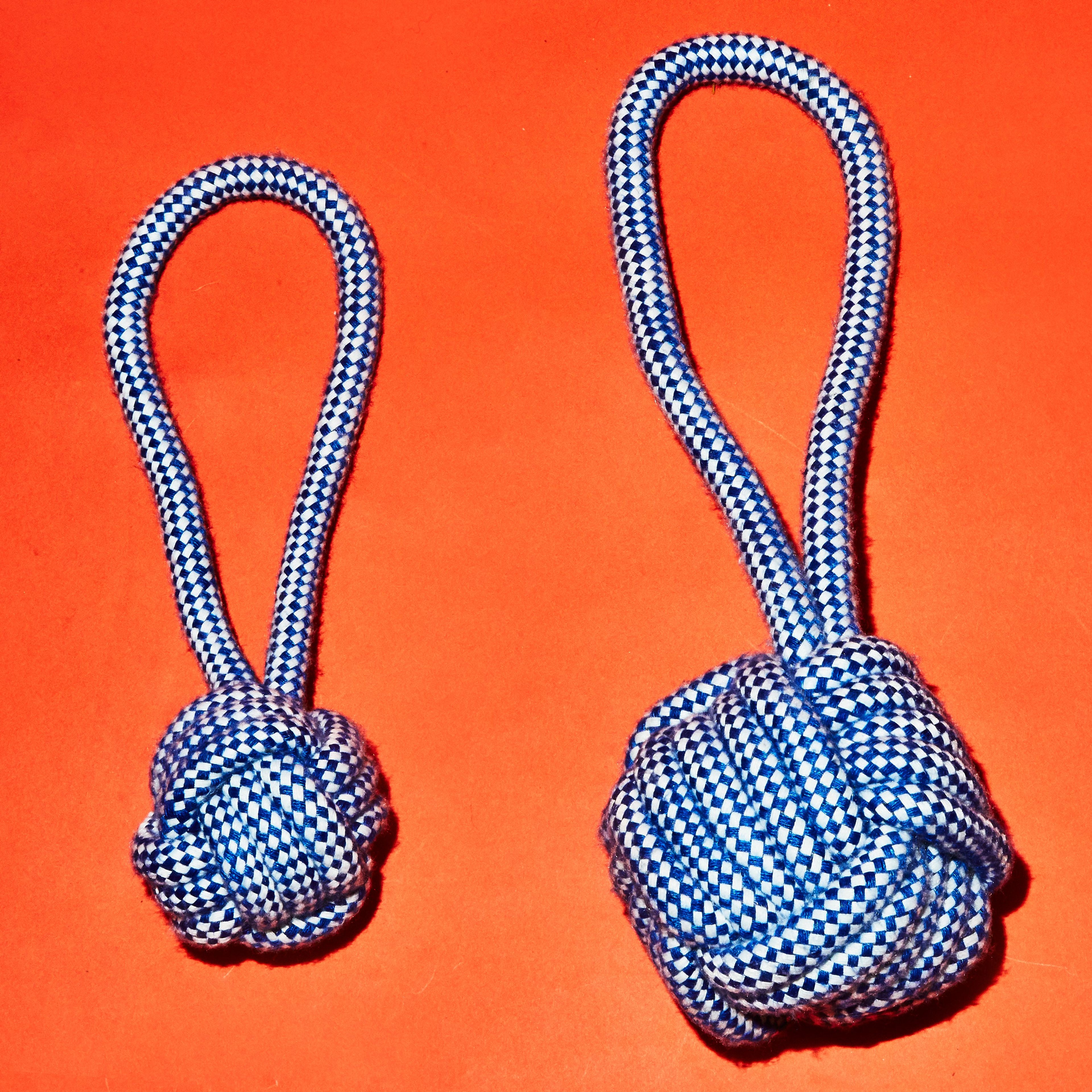Rope Knot Toy / Royal Blue and White