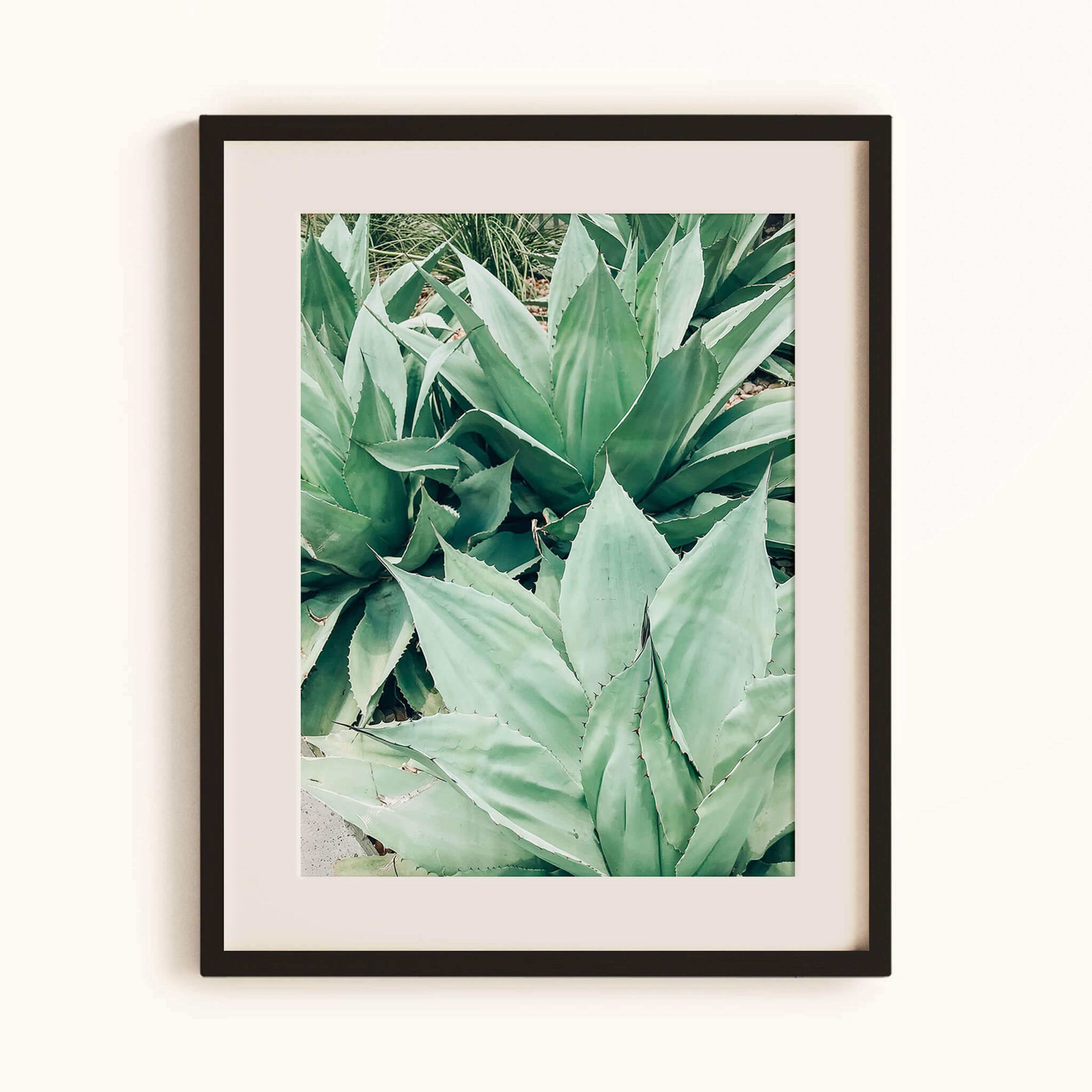 Agave Friends Print