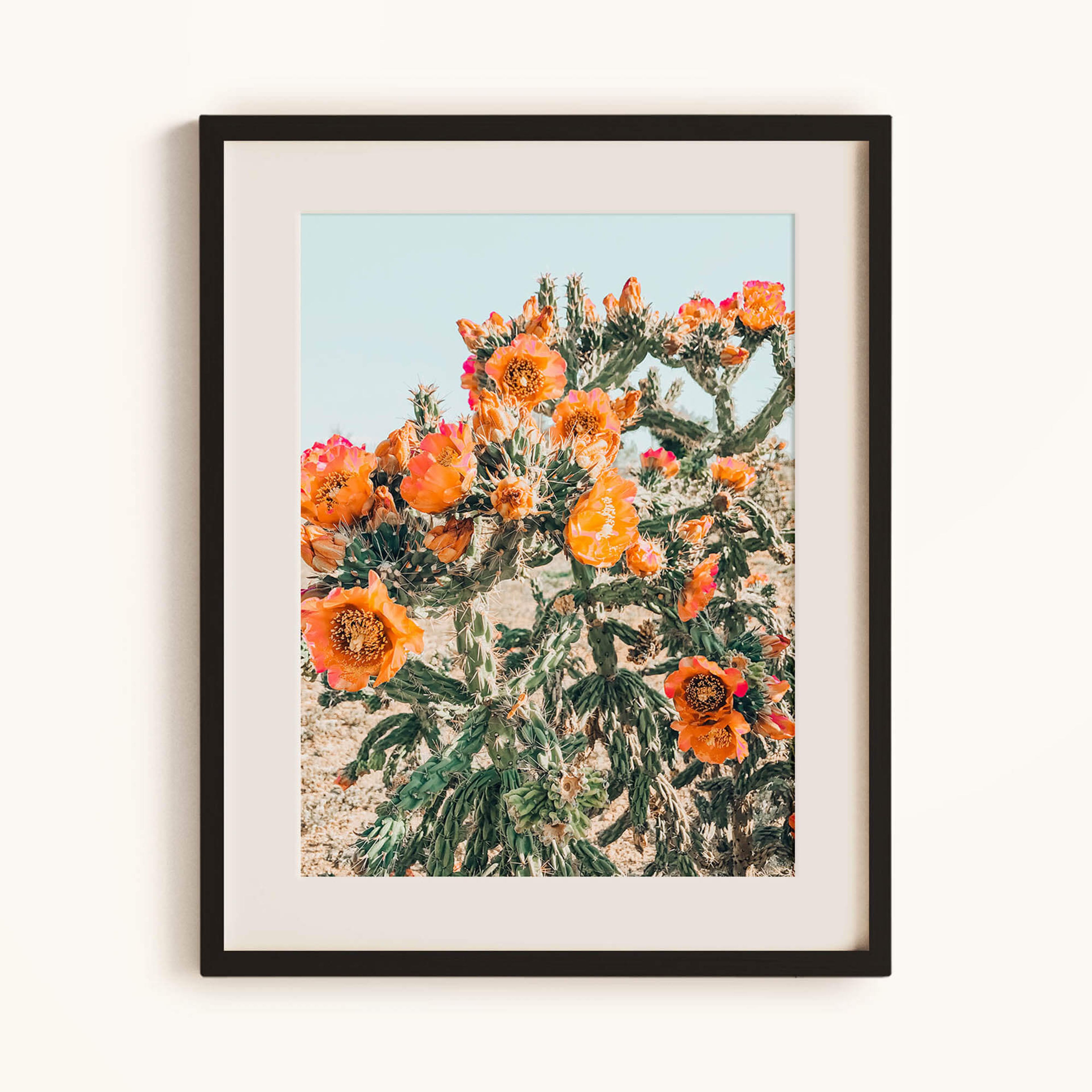 Cholla Flowering Cactus Print