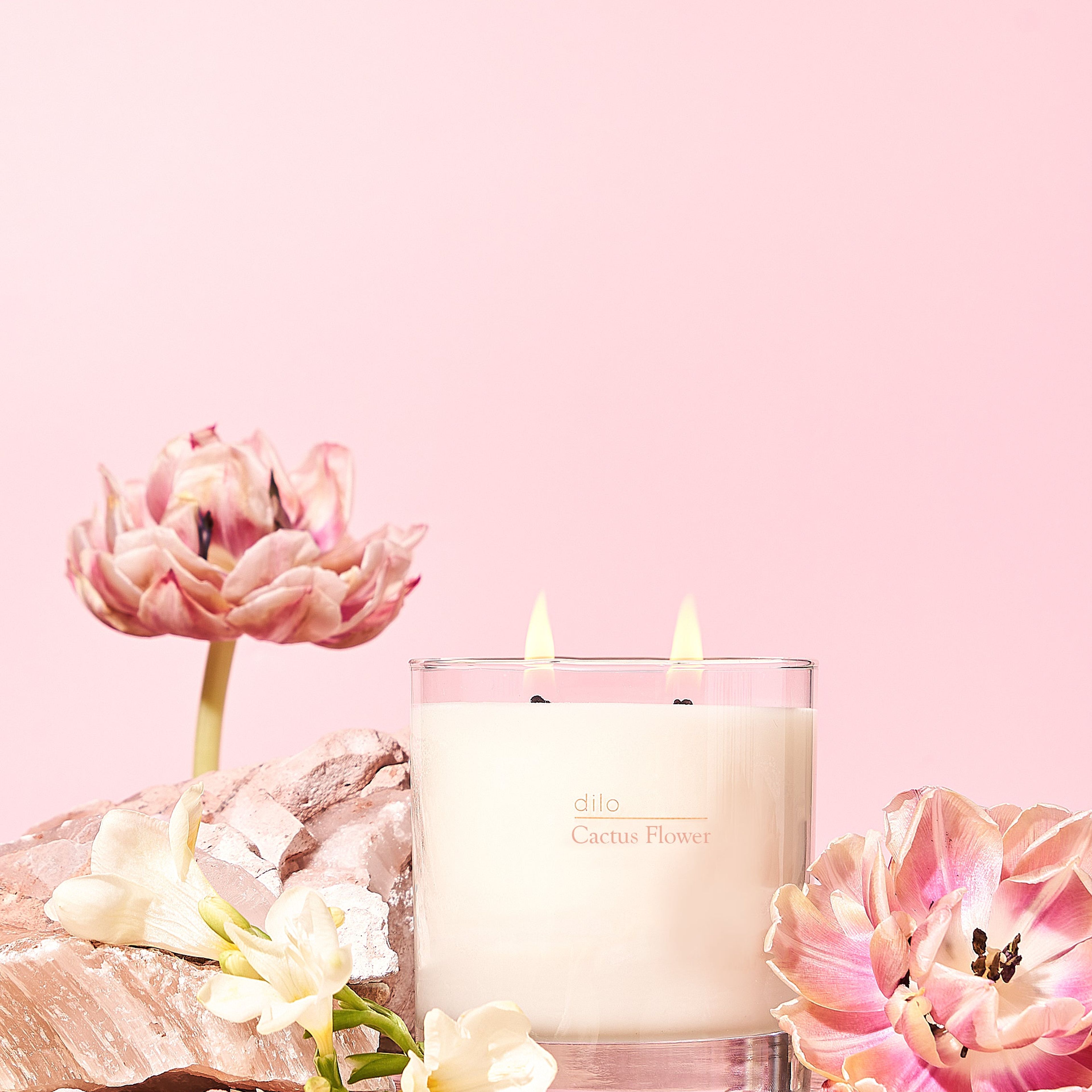 Cactus Flower Candle by dilo