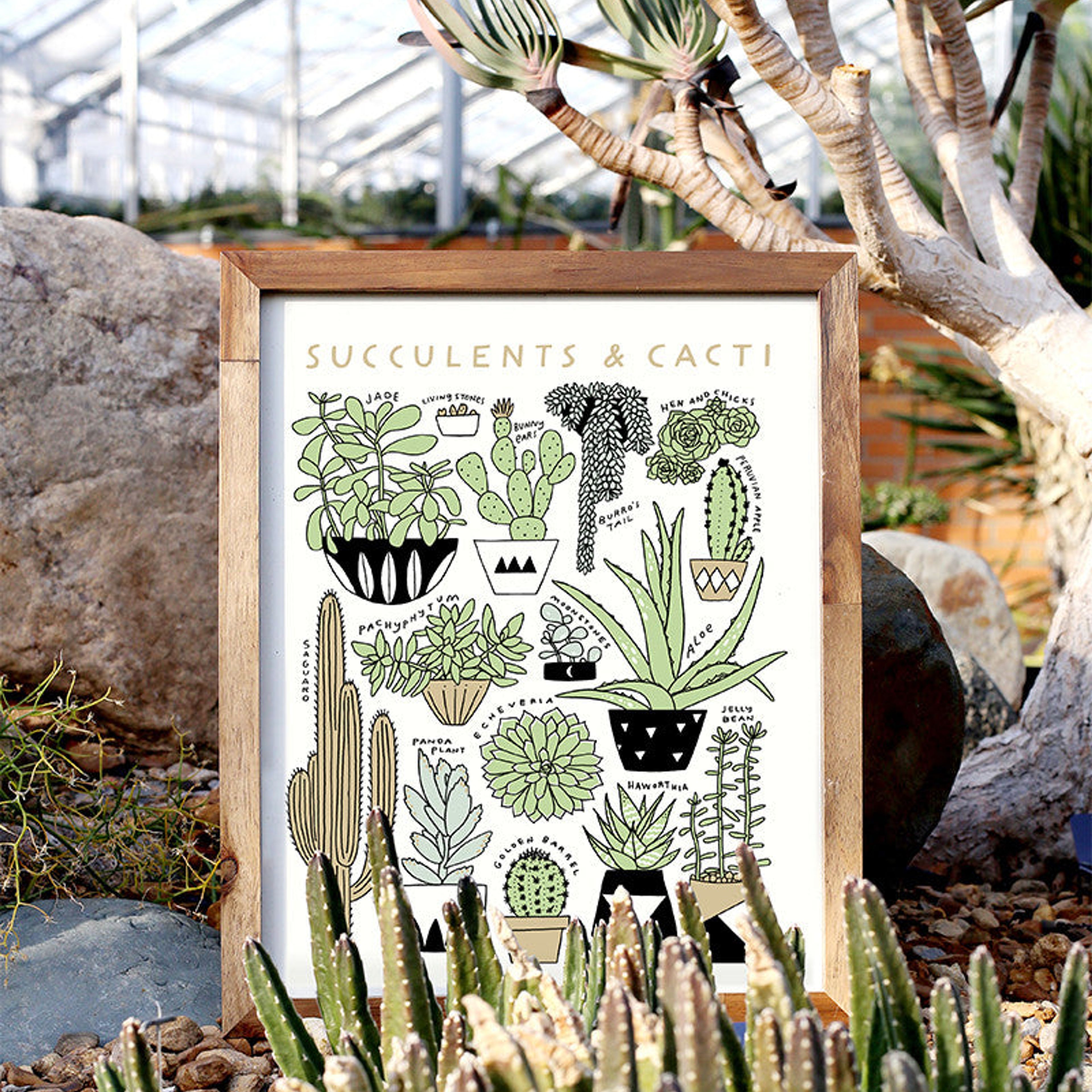 Succulents & Cacti 11x14 Botanical Screen Print