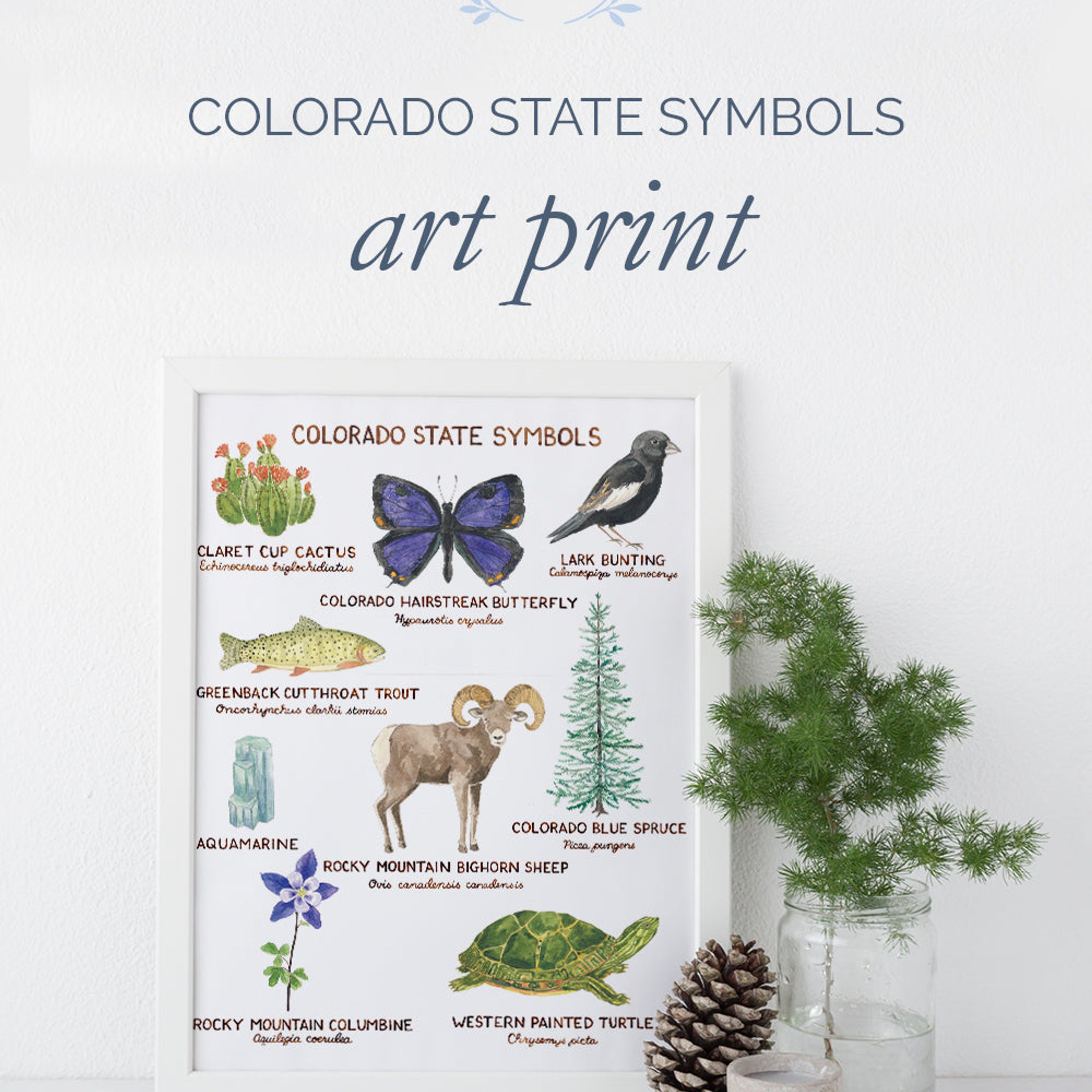 Colorado State Symbols Art Print