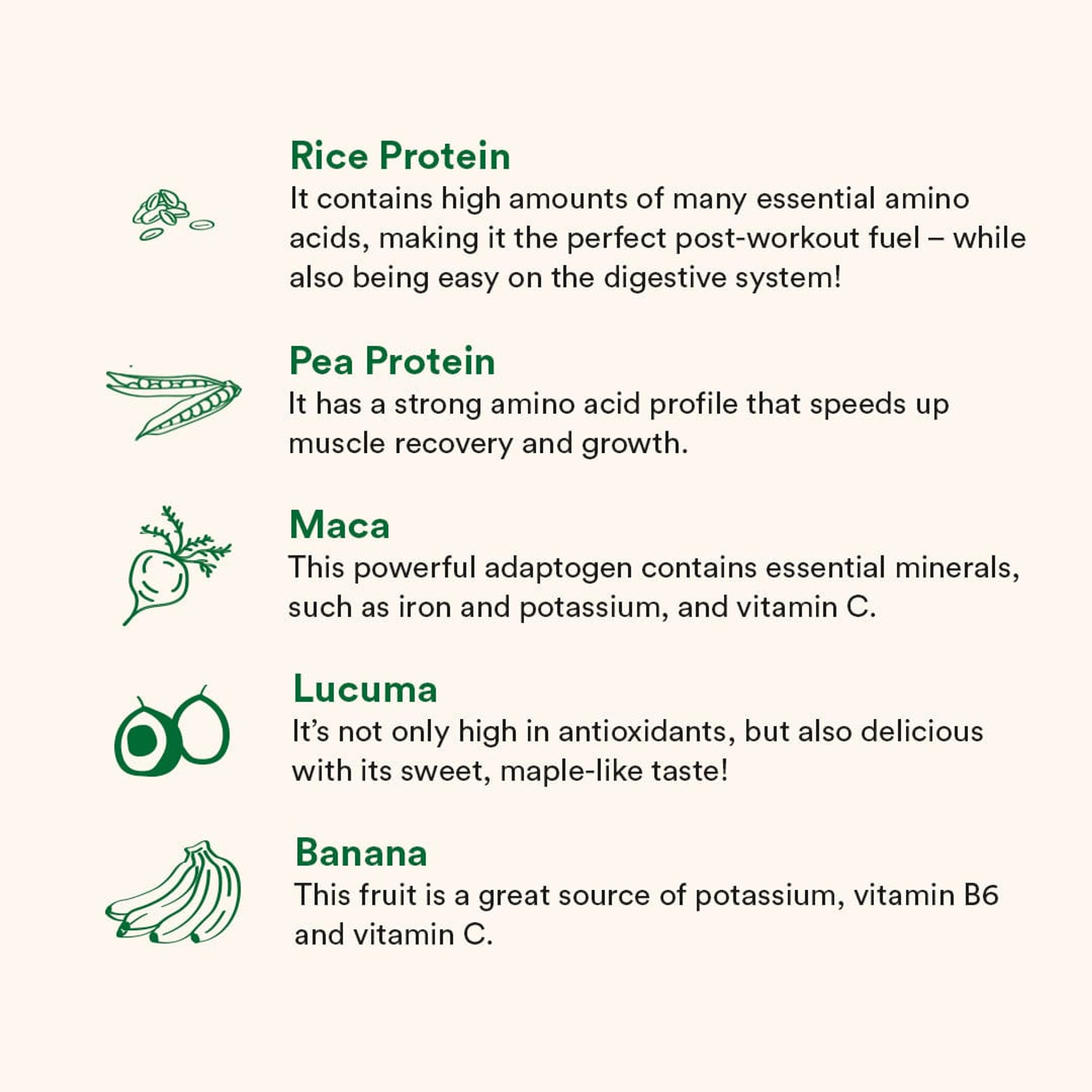 Plant Protein (Build Your Own Bundle)