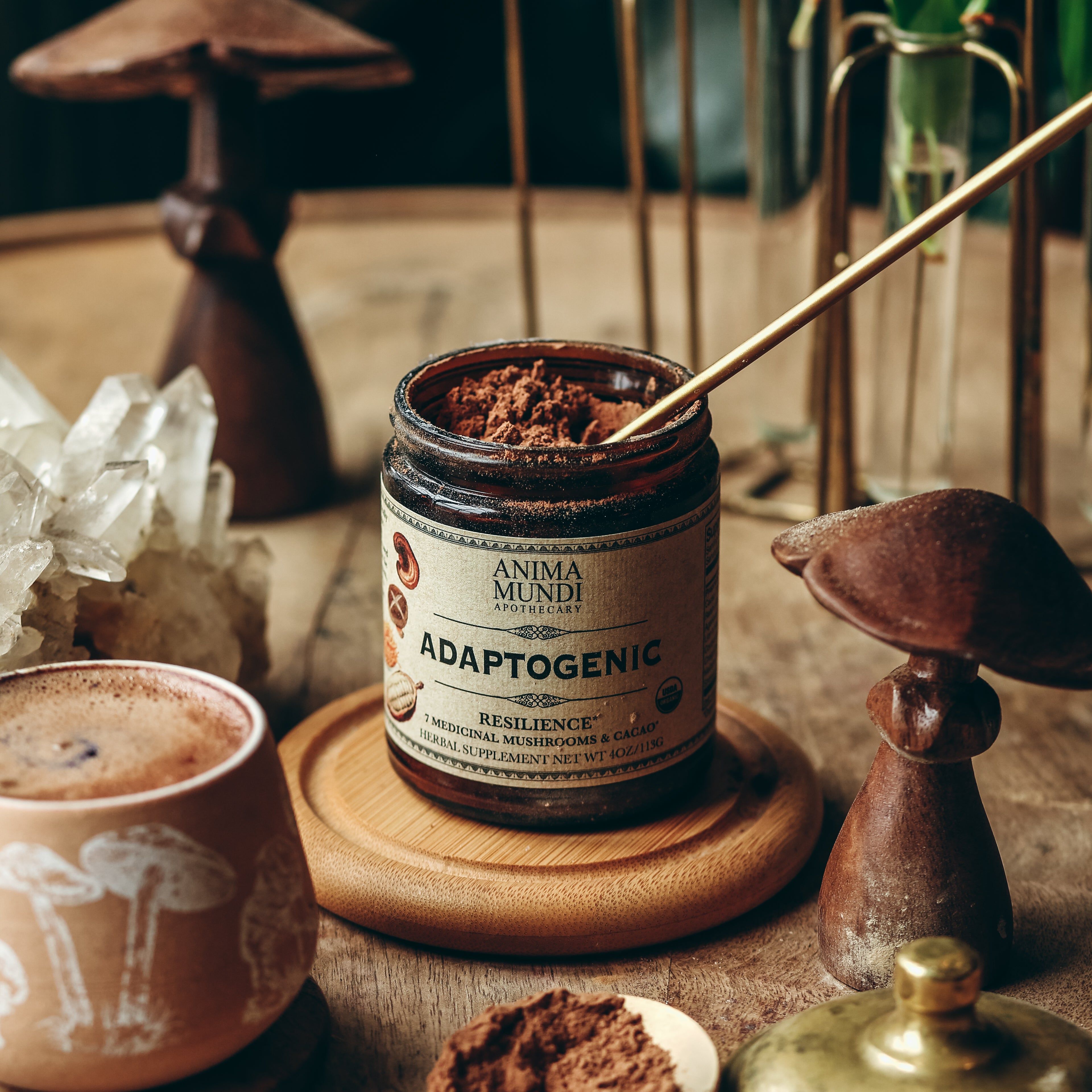 ADAPTOGENIC Powder | 7 Medicinal Mushrooms + Cacao