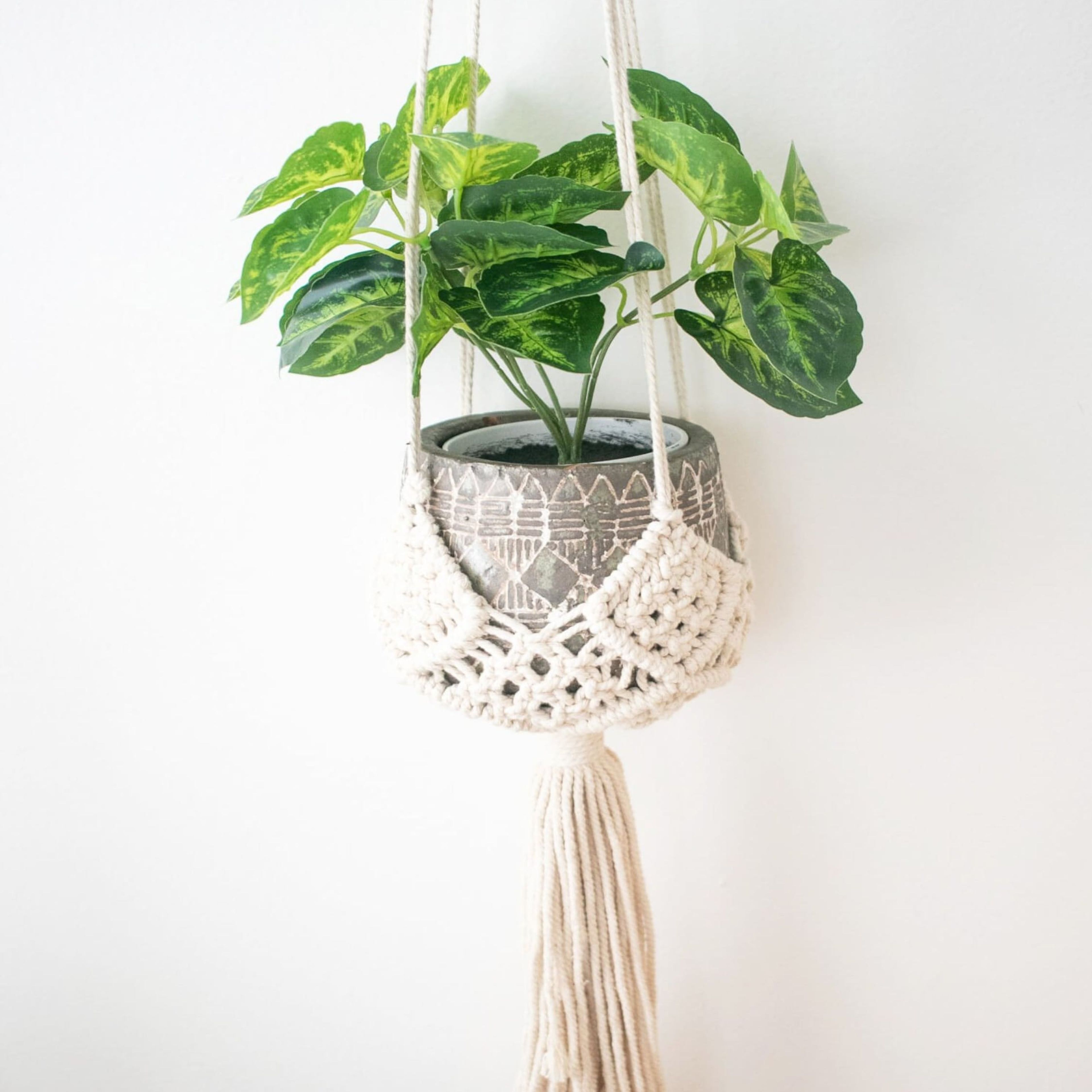 Handmade Macramé Plant Hanger - Darling