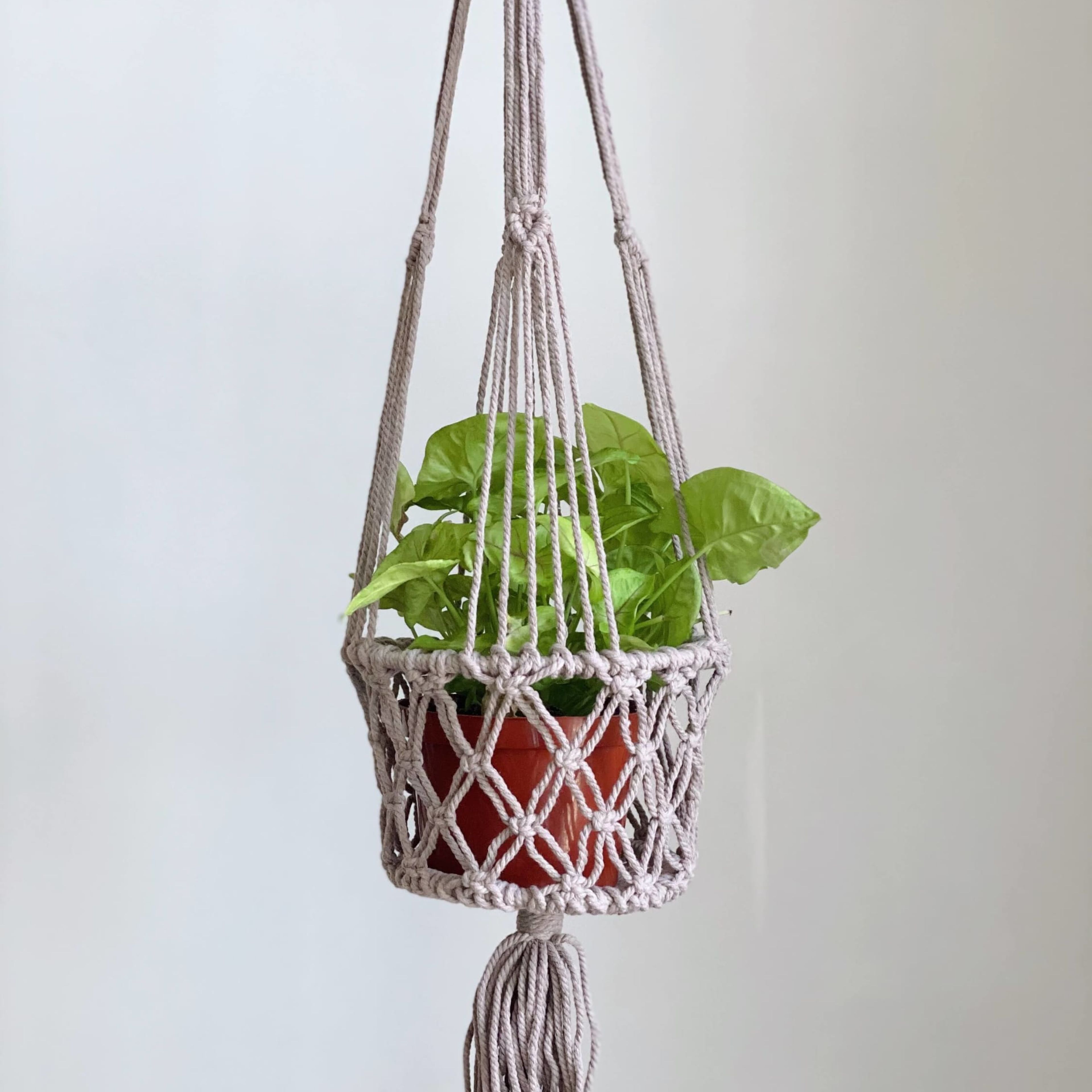 Plant Hanger Basket - "Cafecito" Taupe