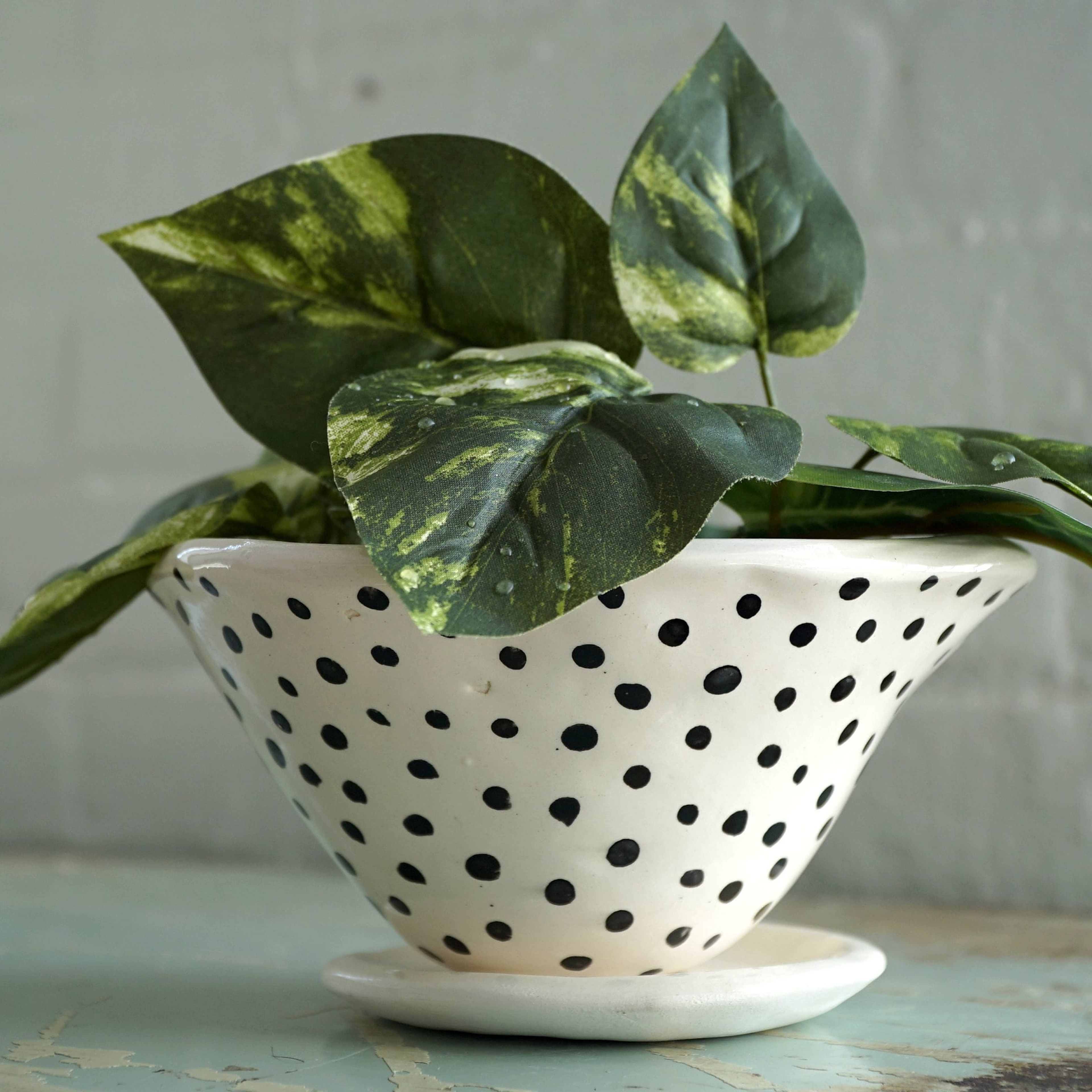 Black & White Glazed Table Planter w/  Hand Painted “Polka Dot” Design - Matching Tray - Succulent Pot - Pottery