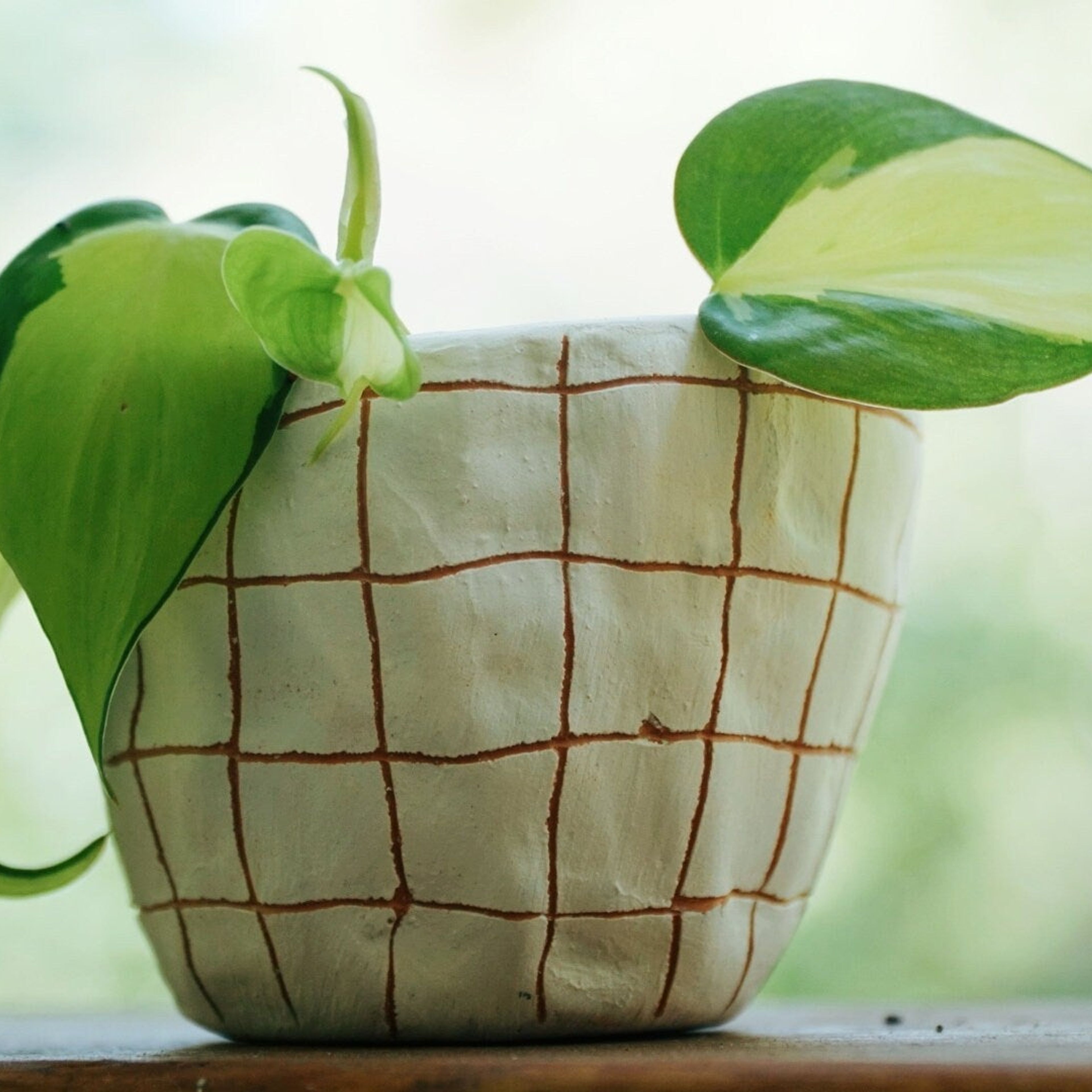 White & Terracotta Mini Planter with Hand-carved "Grid" Design - Succulent Planter - Cactus Pot - Housewarming - Dorm