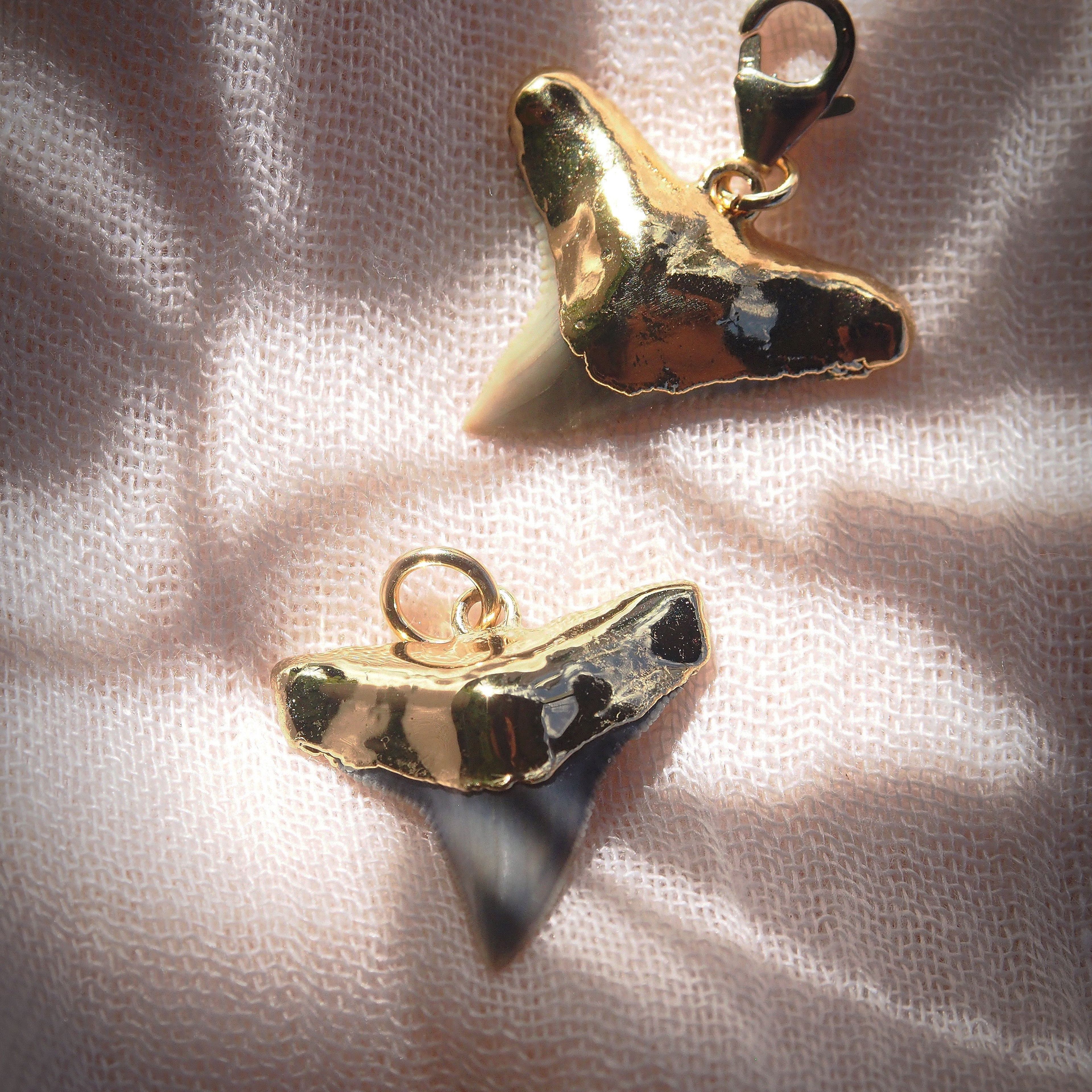 Fossilized Gold Plated Shark Tooth Charm