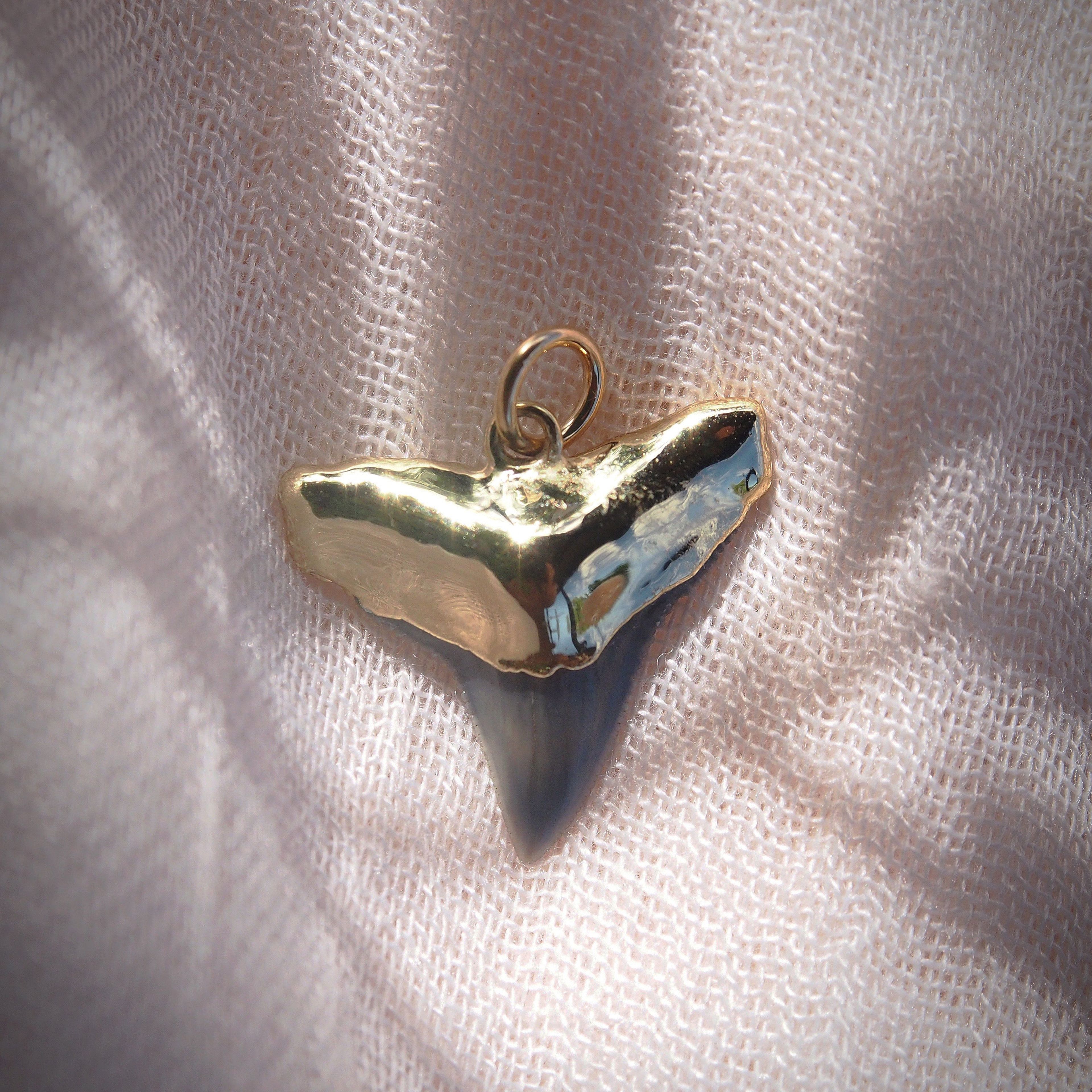 Fossilized Gold Plated Shark Tooth Charm