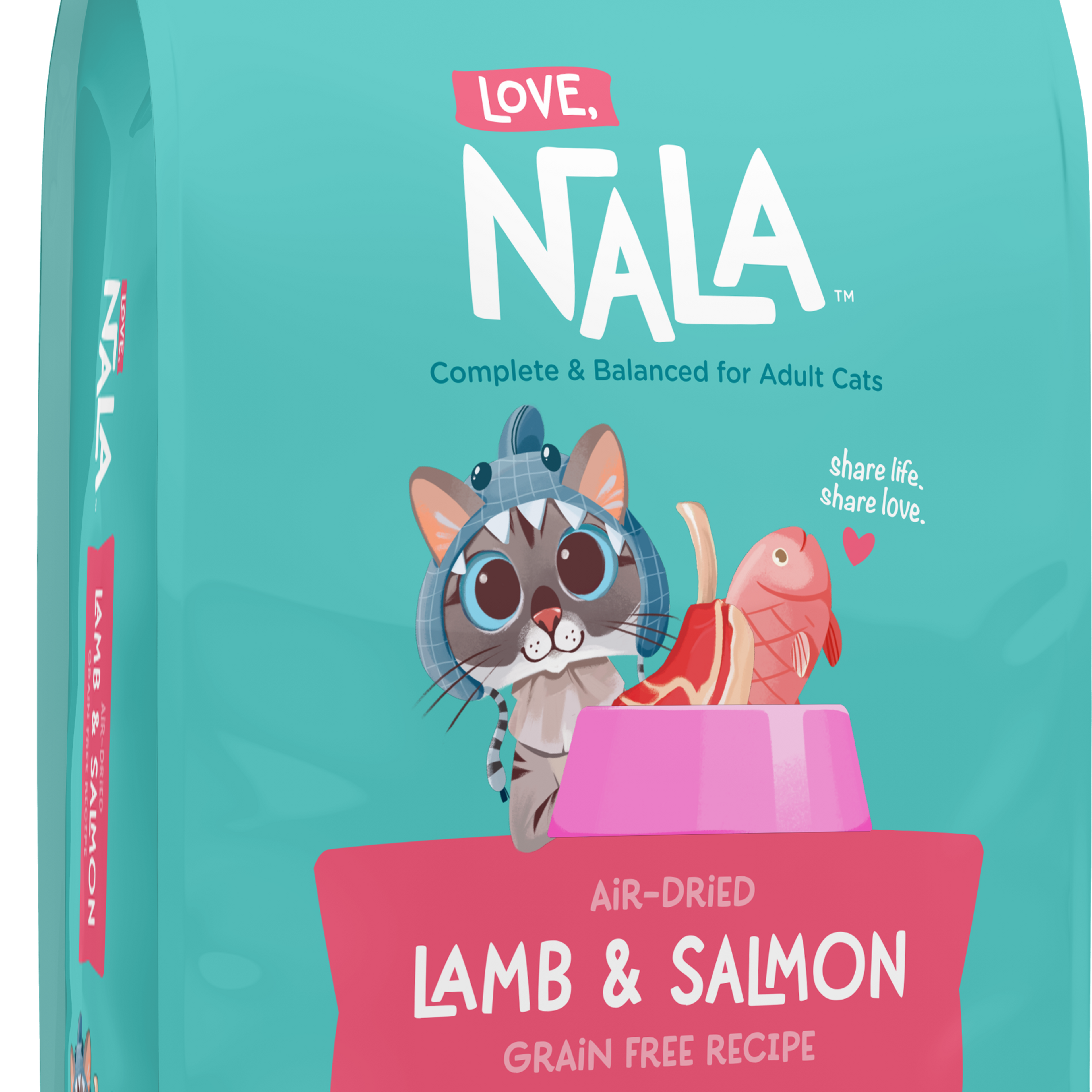 Beef Grain Free Recipe Air-Dried Adult Cat Food 1lb bag
