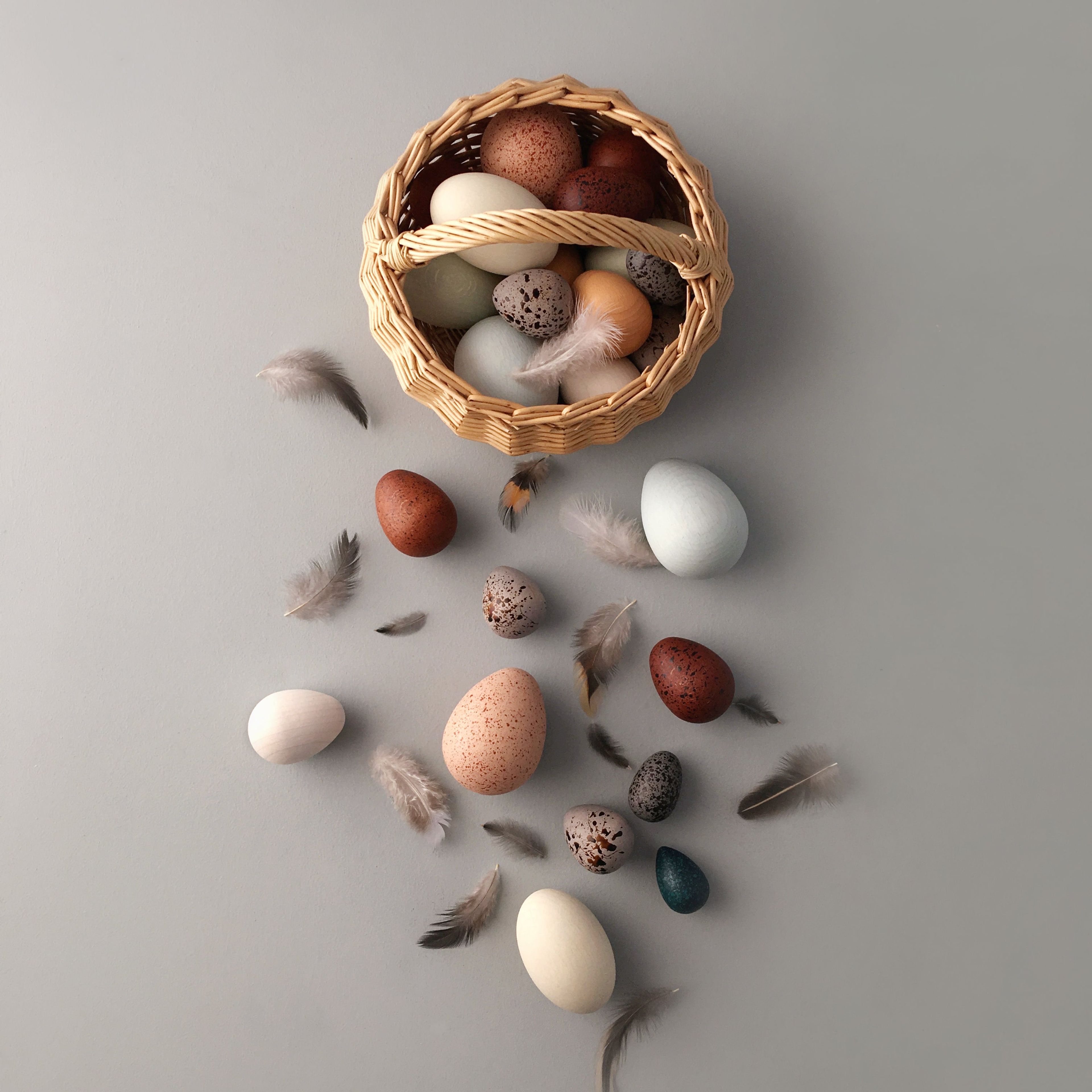 Moon Picnic A Dozen Bird Eggs in a Basket