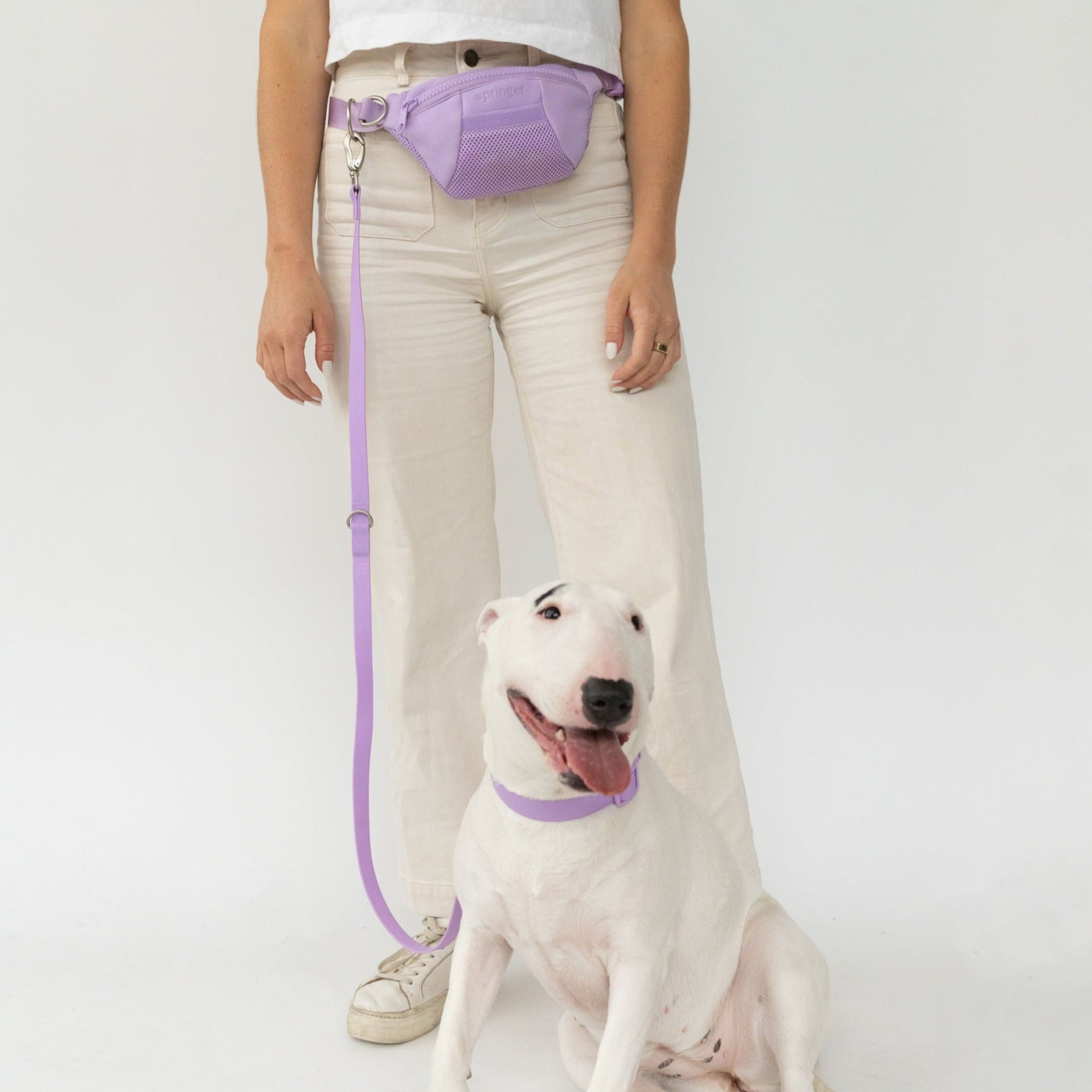 Sling Bag + Dog Leash