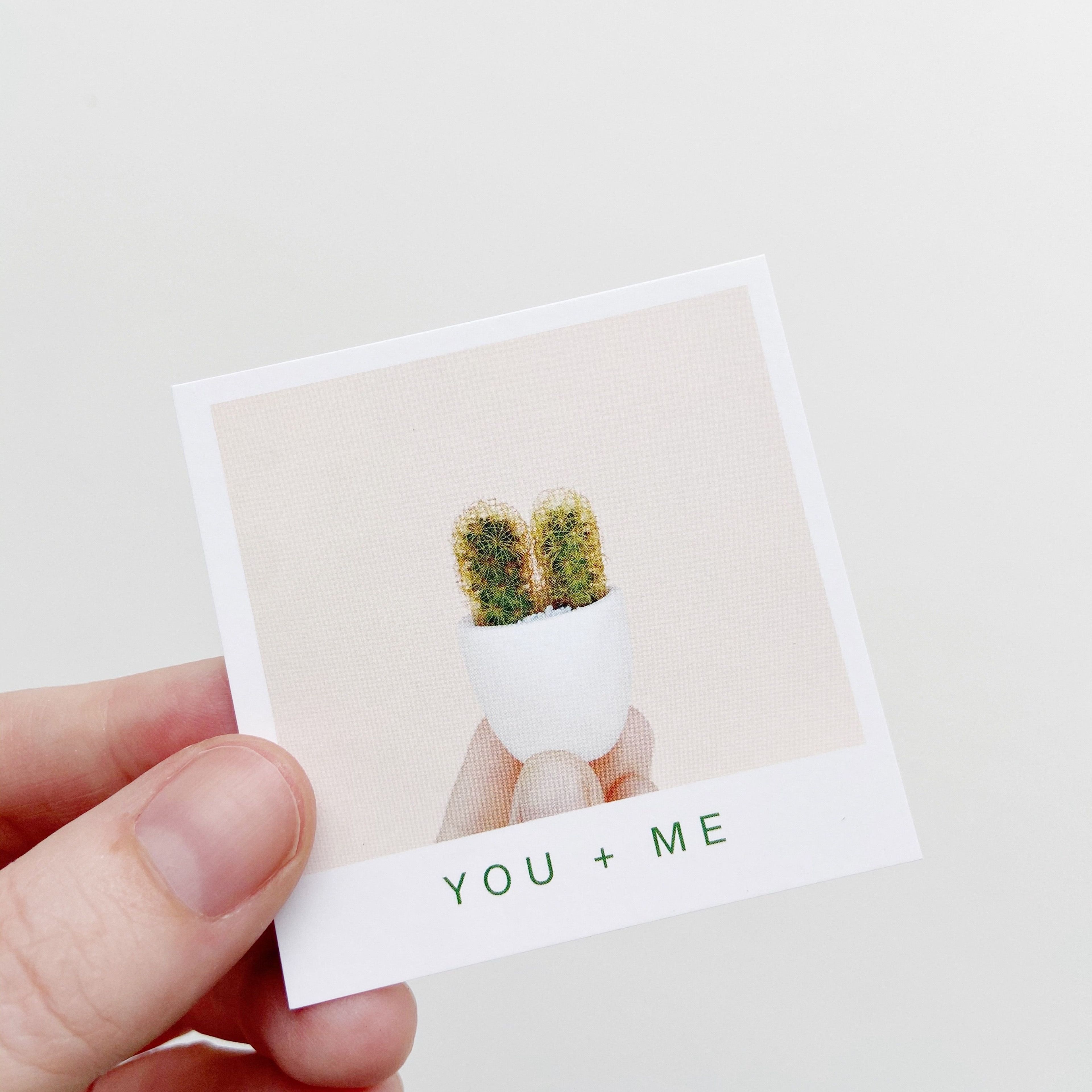 You + Me Mini Cactus + Ceramic Mini Planter