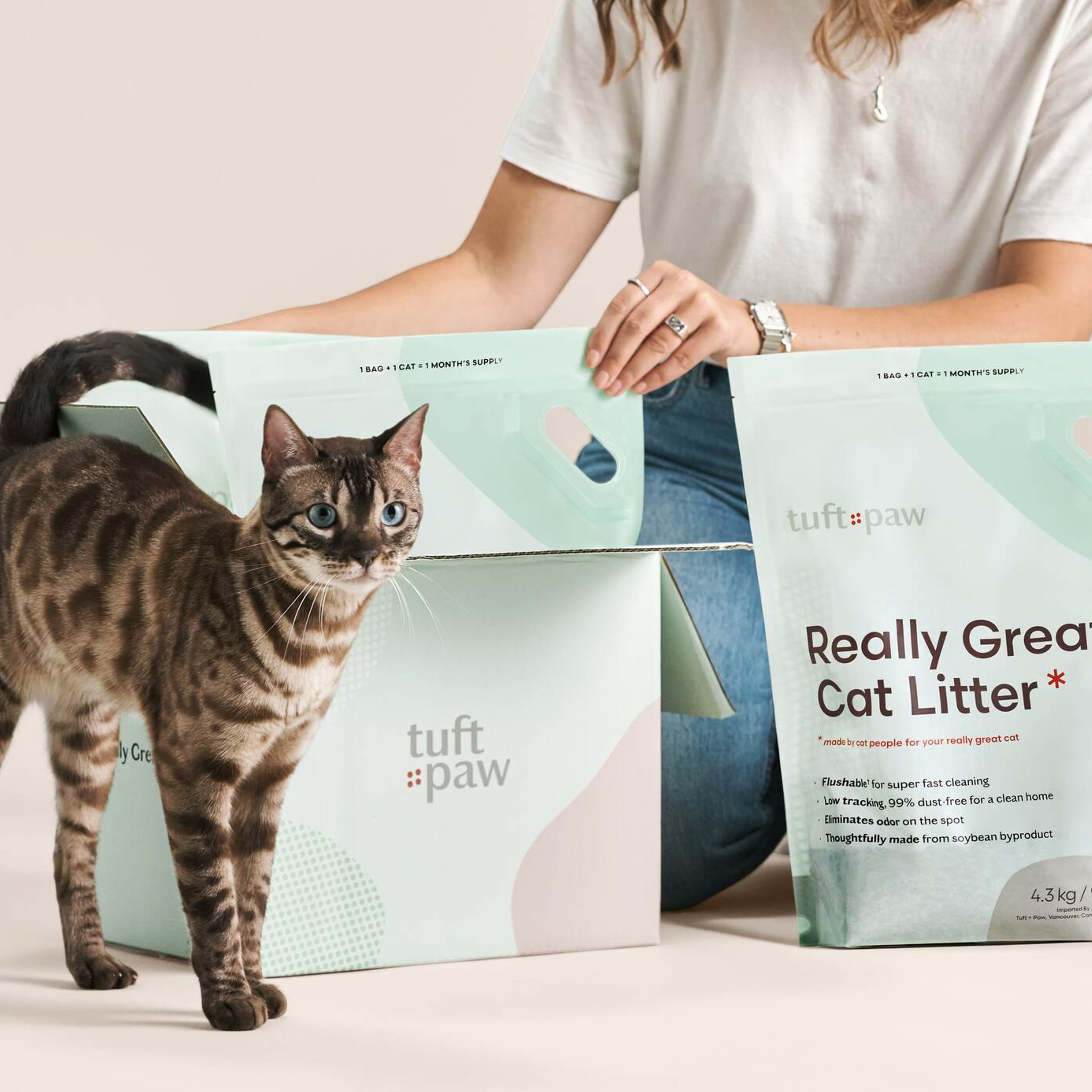 Really Great Cat Litter