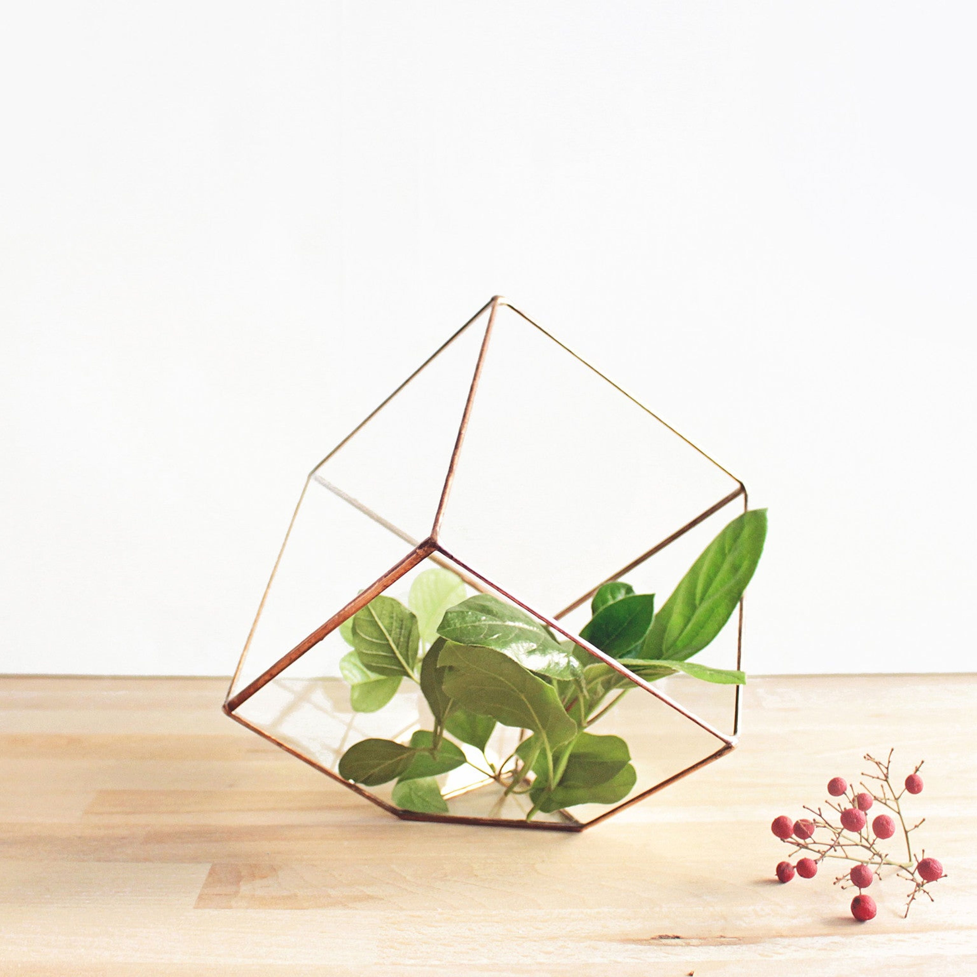 Geometric Terrarium Container | Cube | Modern Indoor Planter