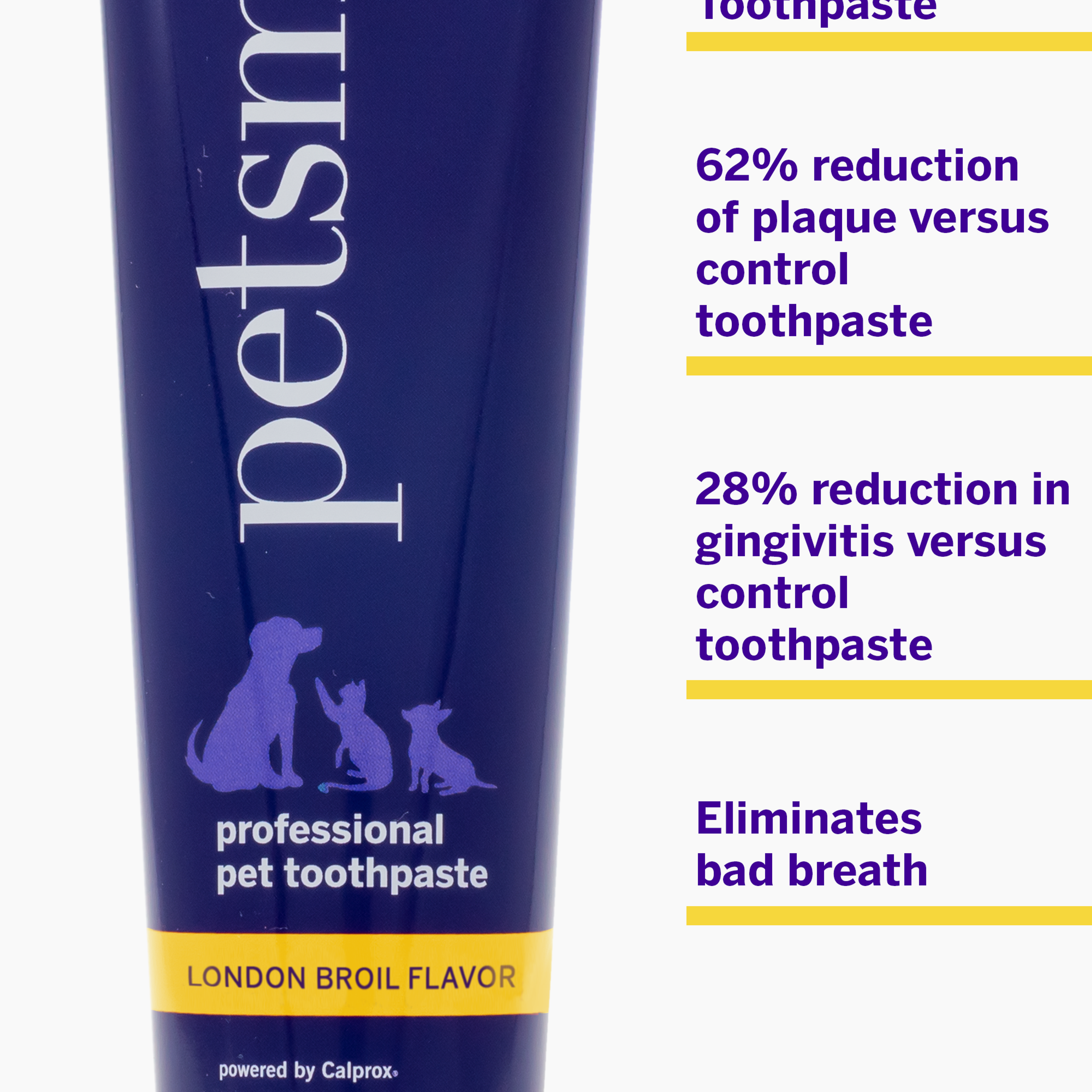 Professional Dog Toothpaste - London Broil Flavor - Large