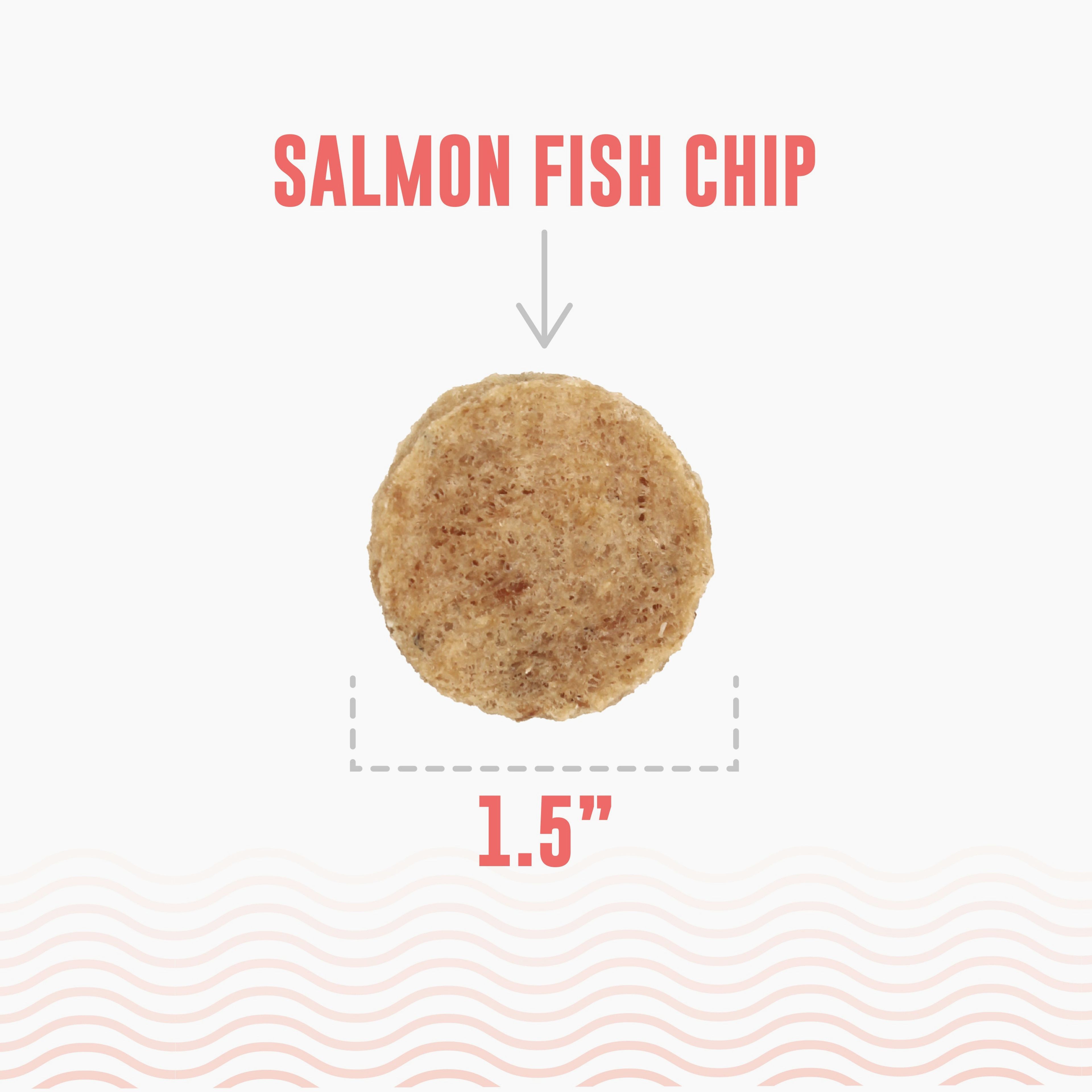 Salmon Fish Chips Dog Treats