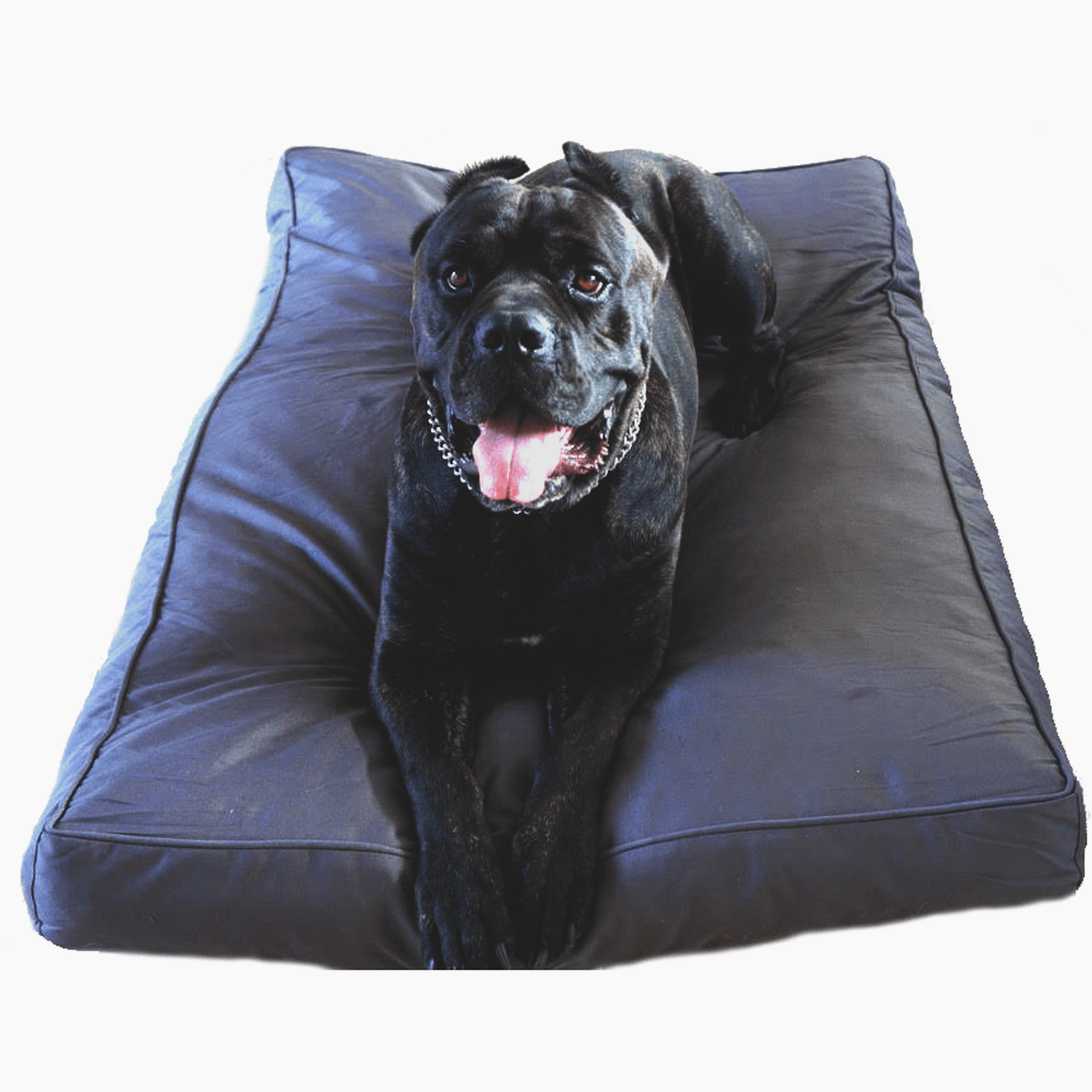 Chew Proof Dog Bed (with a 200 Day Guarantee)
