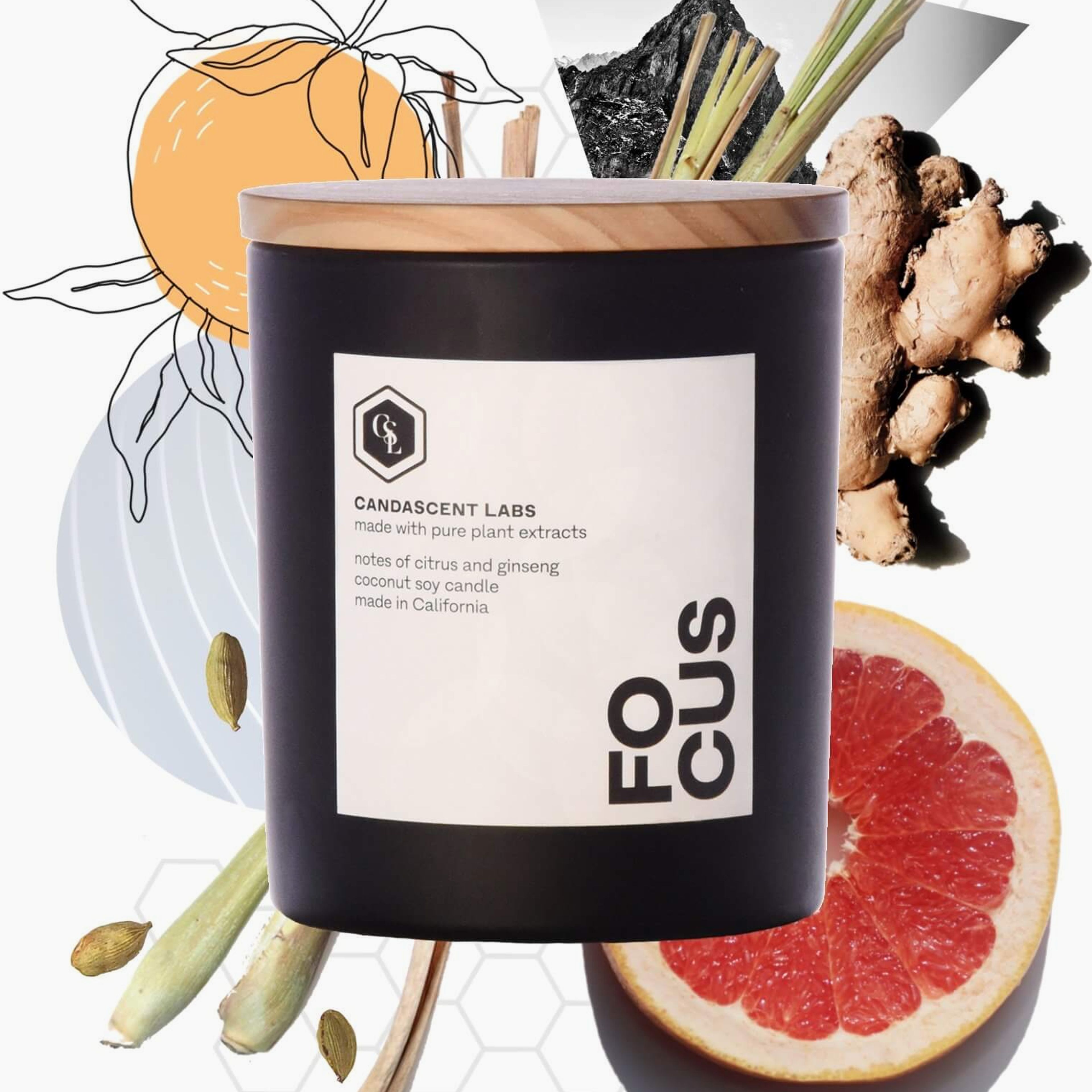FOCUS - Citrus and Ginseng Candle