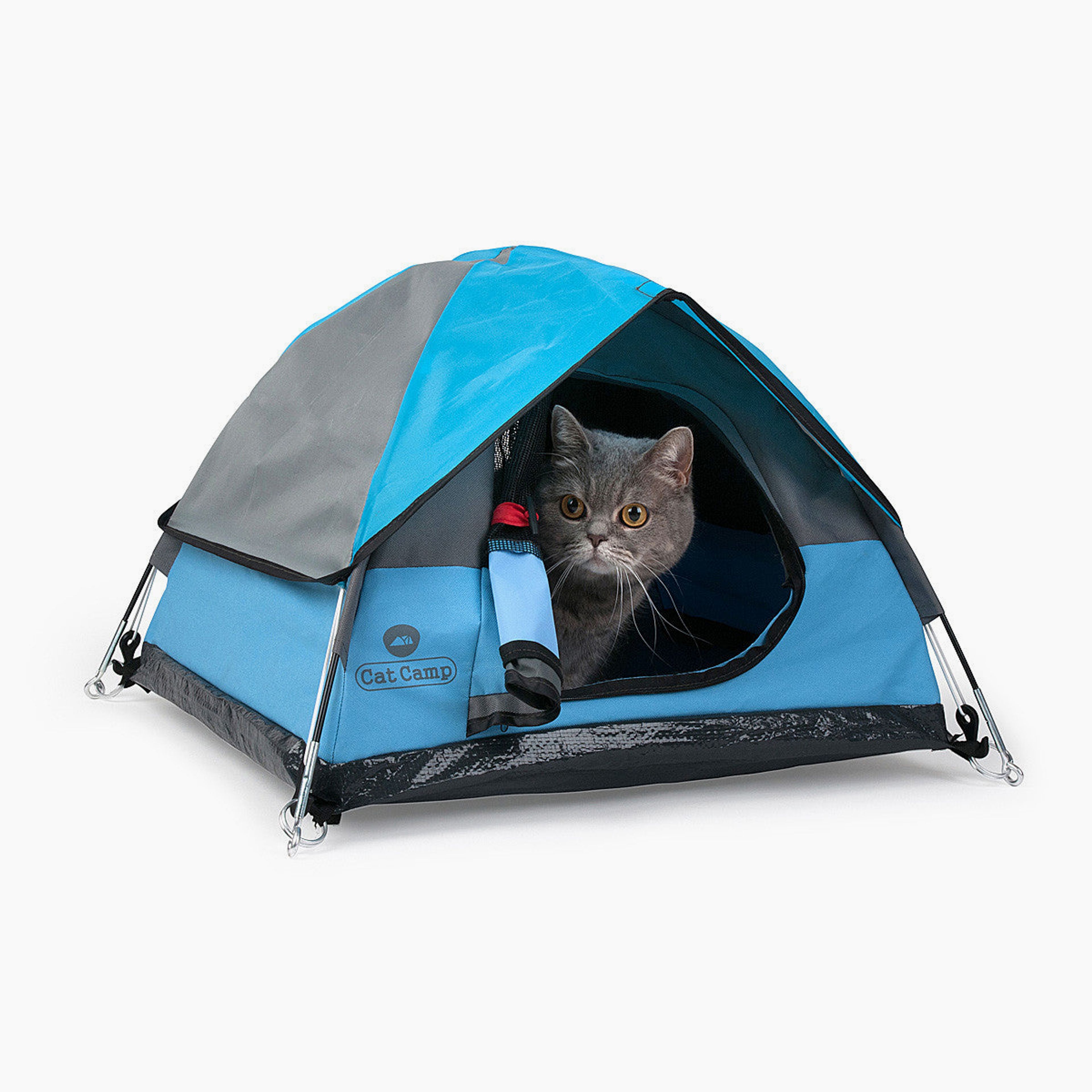 Cat Camp - The teeny tiny tent for indoor cats
