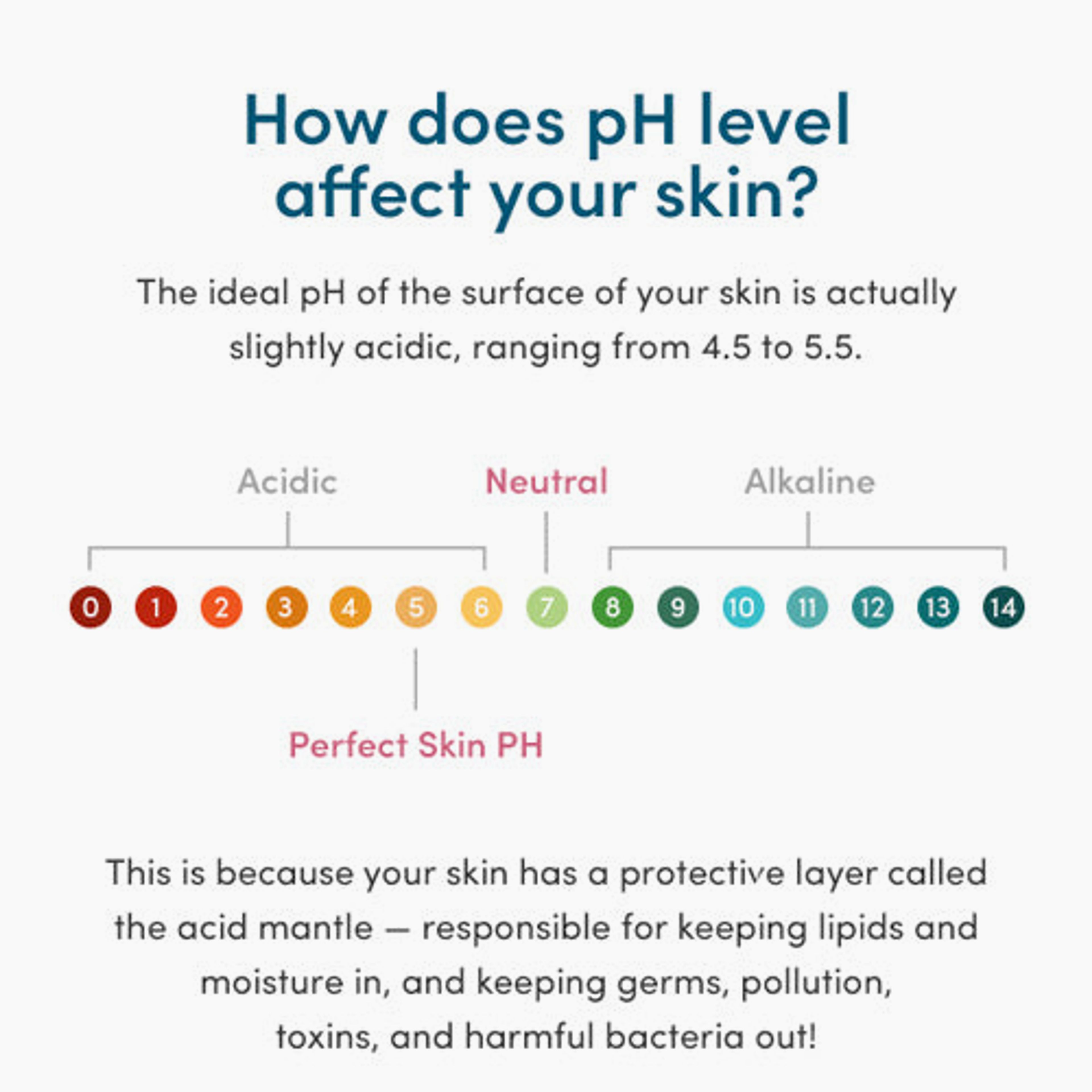 pH Balancing-Face Wash (4 oz)