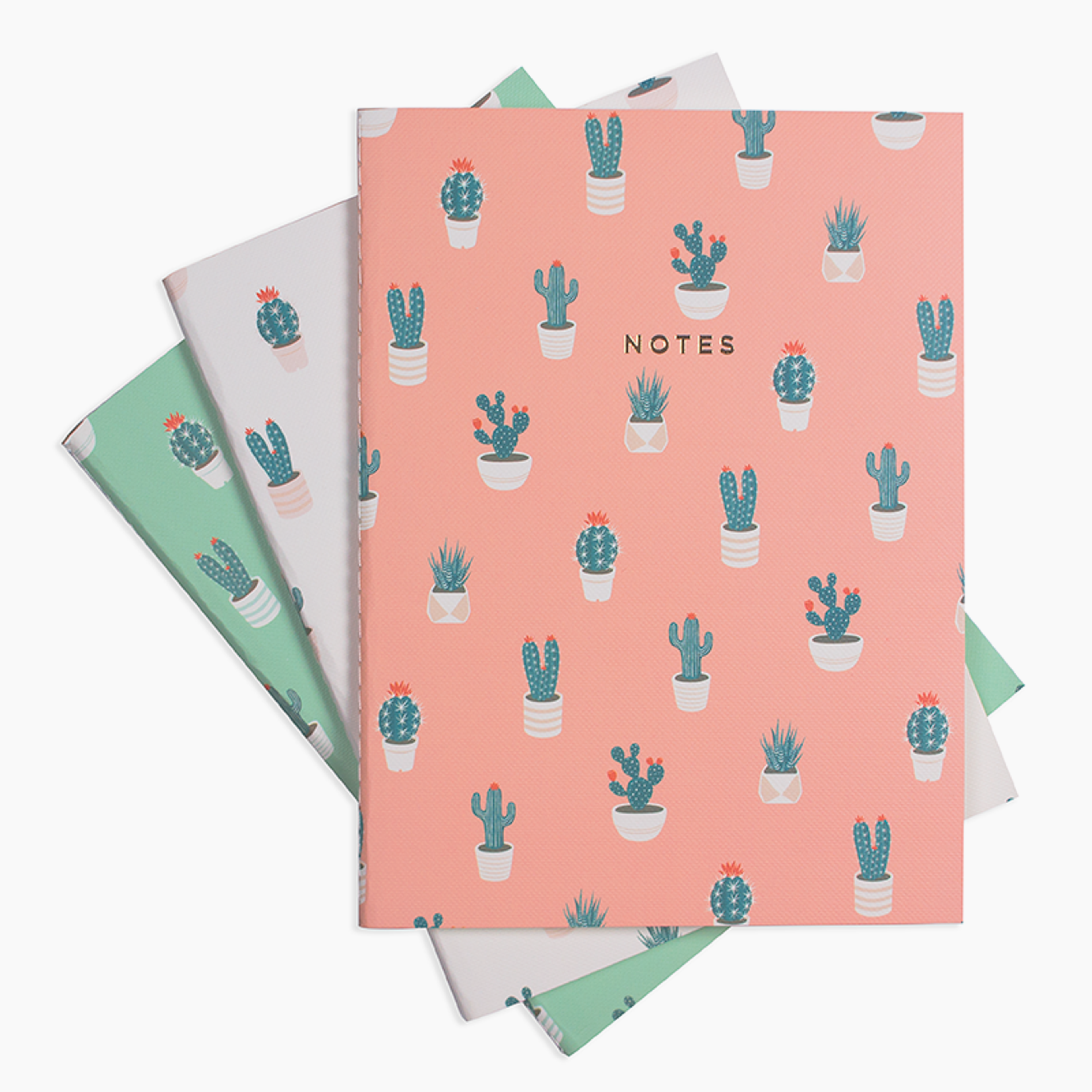 Large Cactus Lover Notebook 3/Set