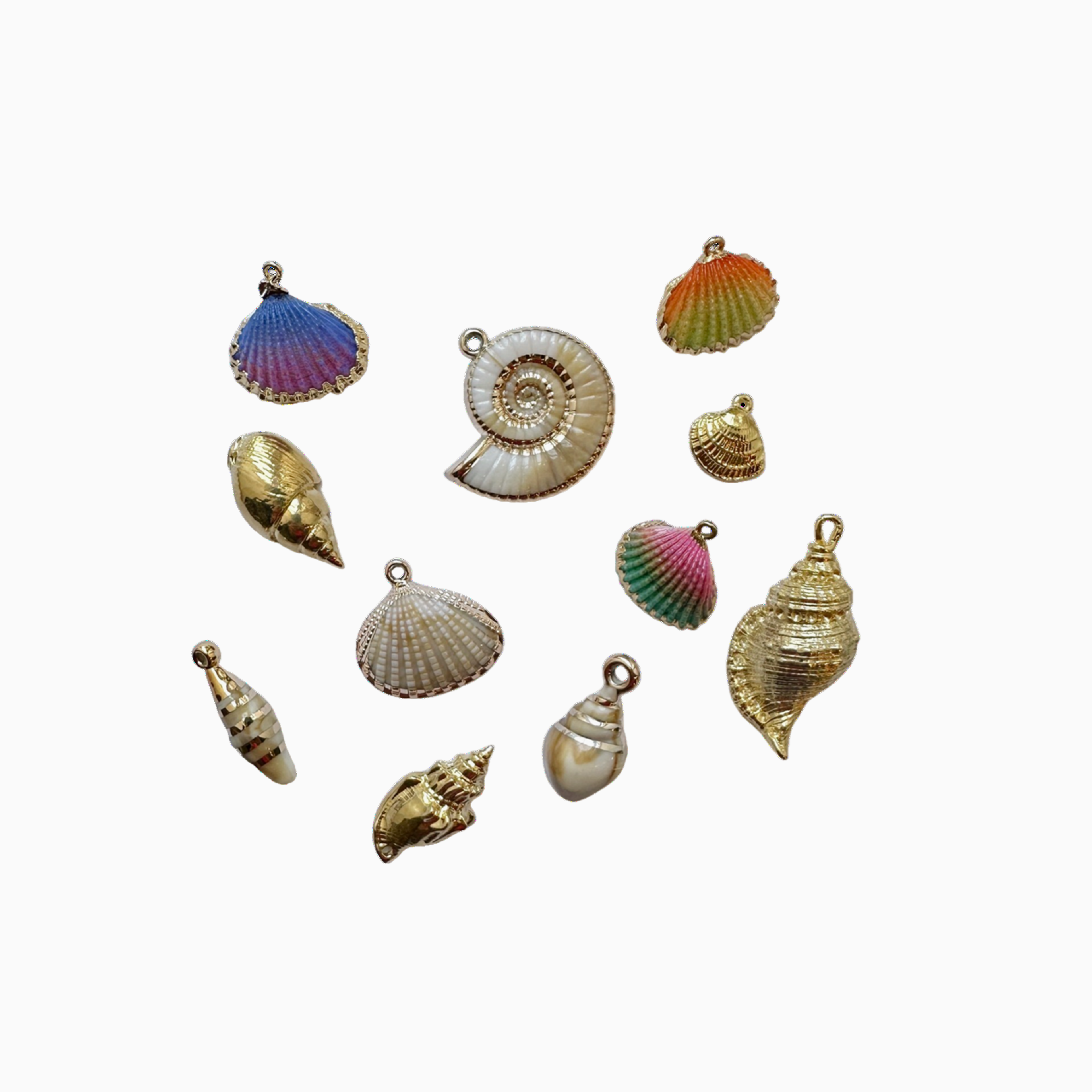 Seashell Charms