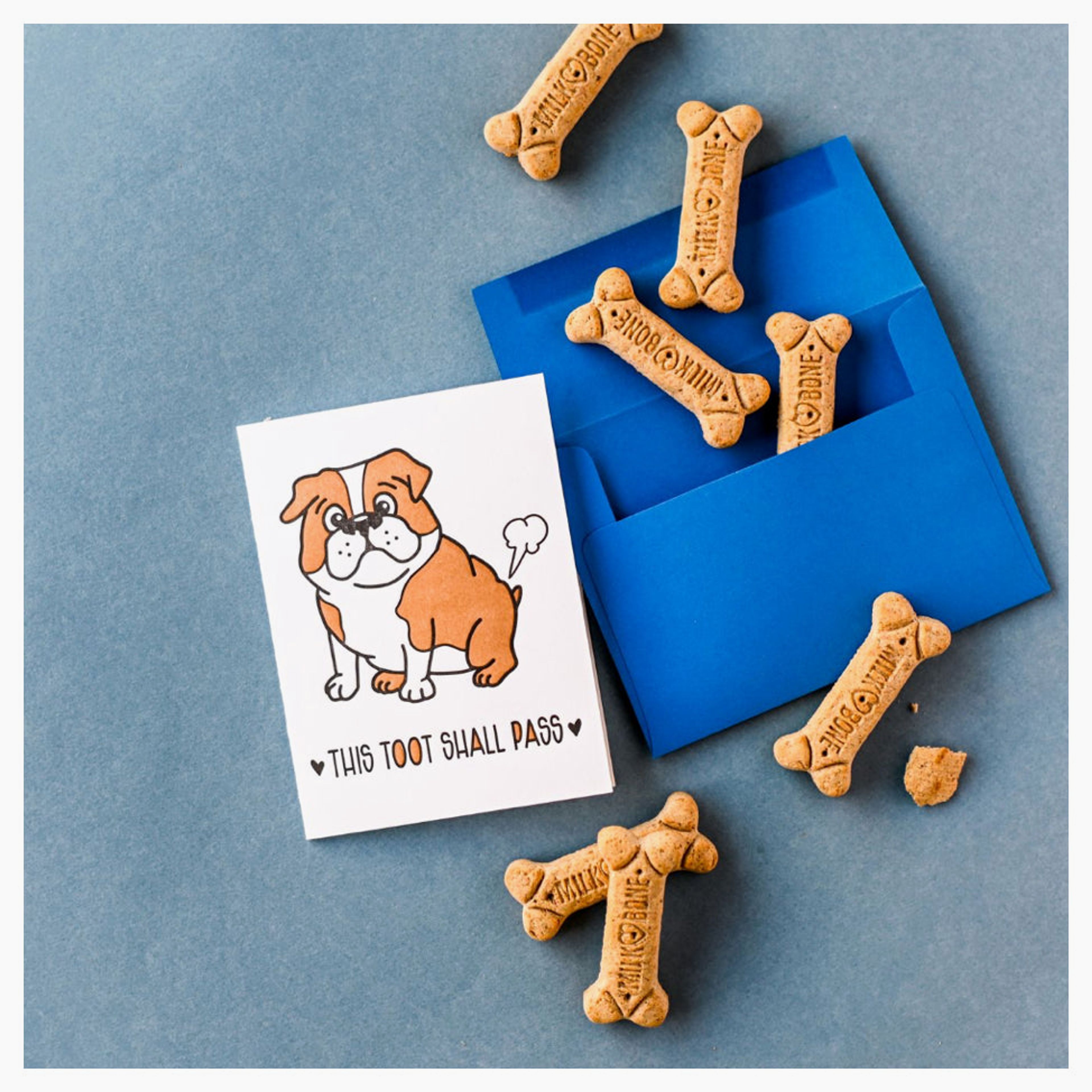 Funny Encouragement Sympathy Letterpress Card | This Toot Shall Pass | Farting Bulldog