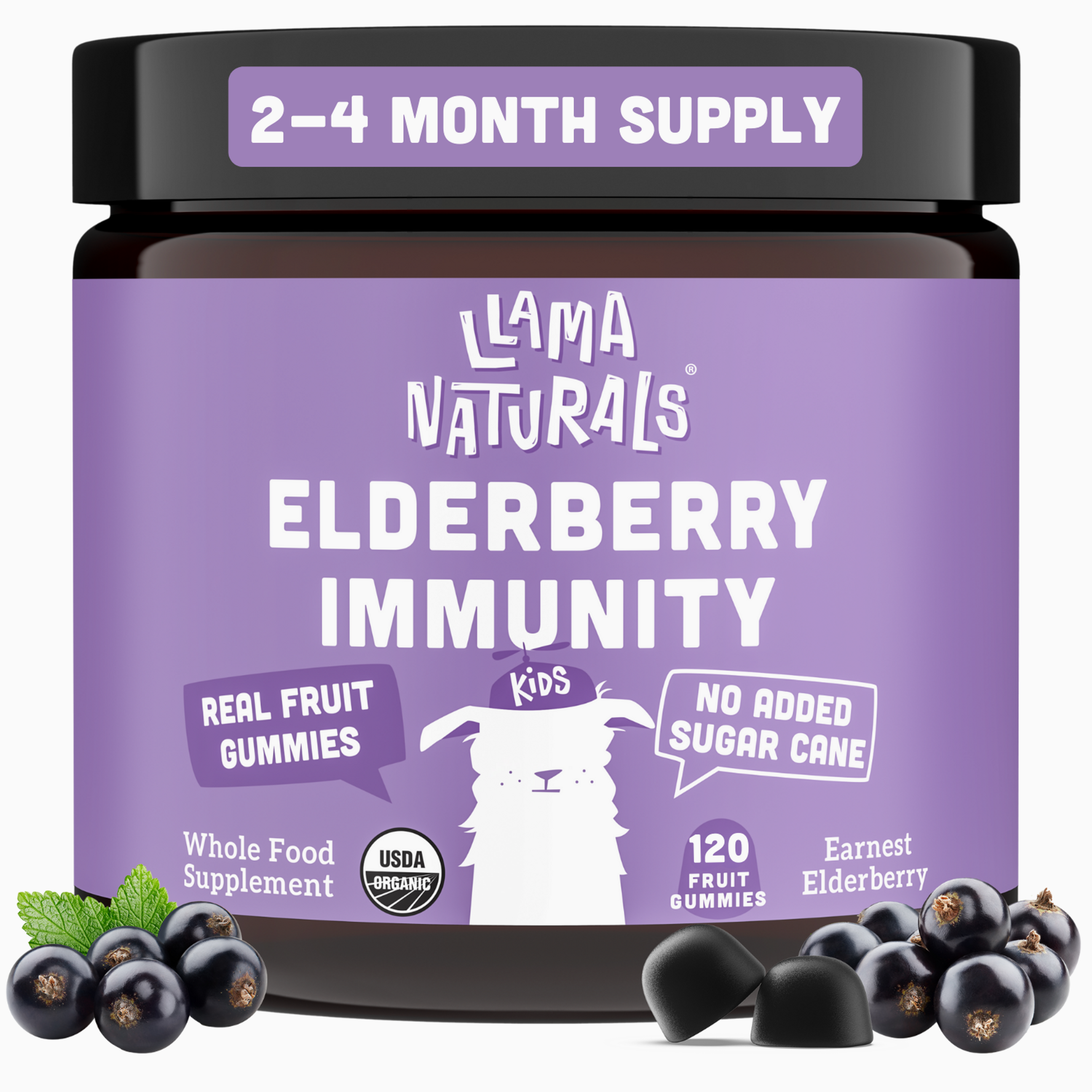 Kids Elderberry Immunity (Organic) - 120 Count