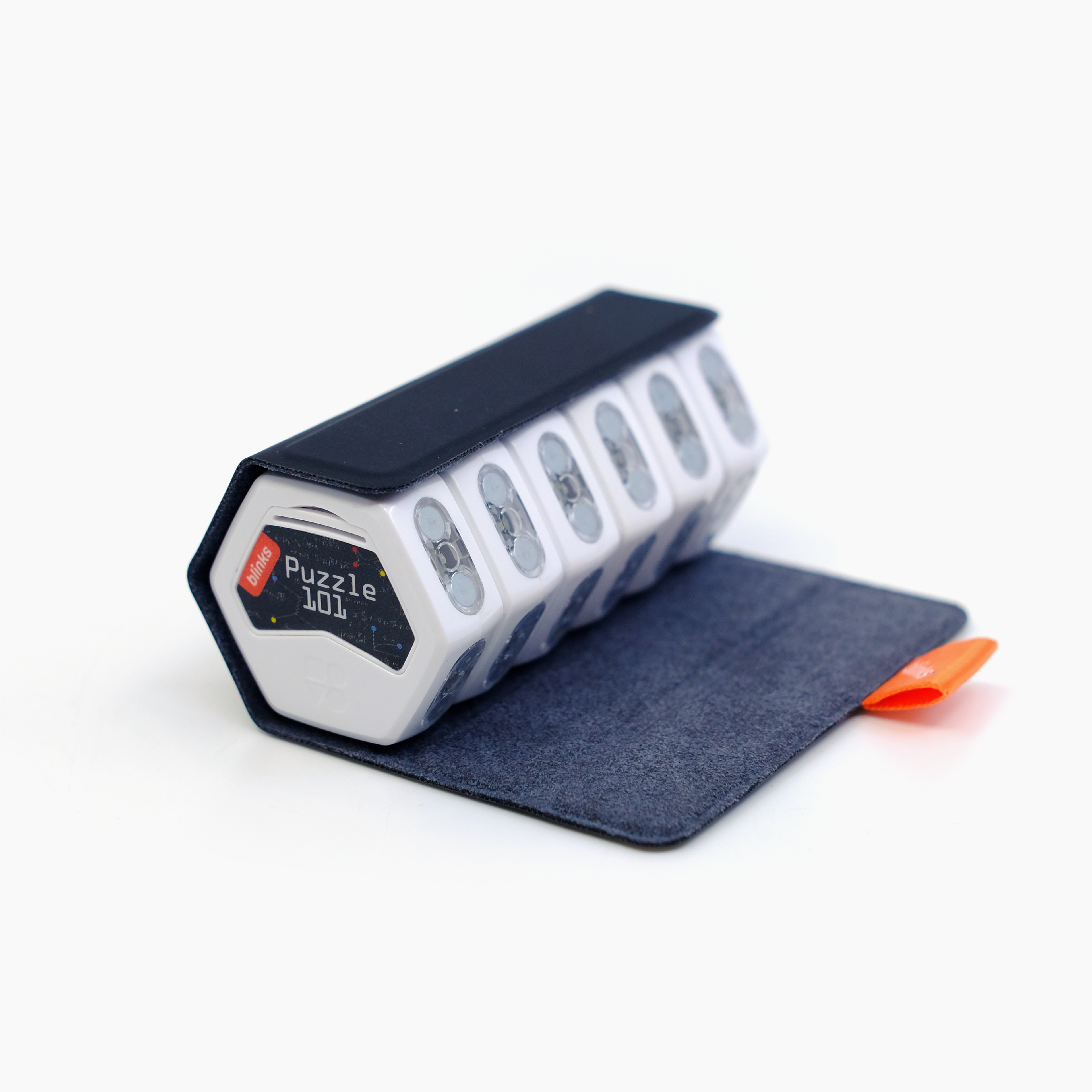Sushi Roll Carry Case