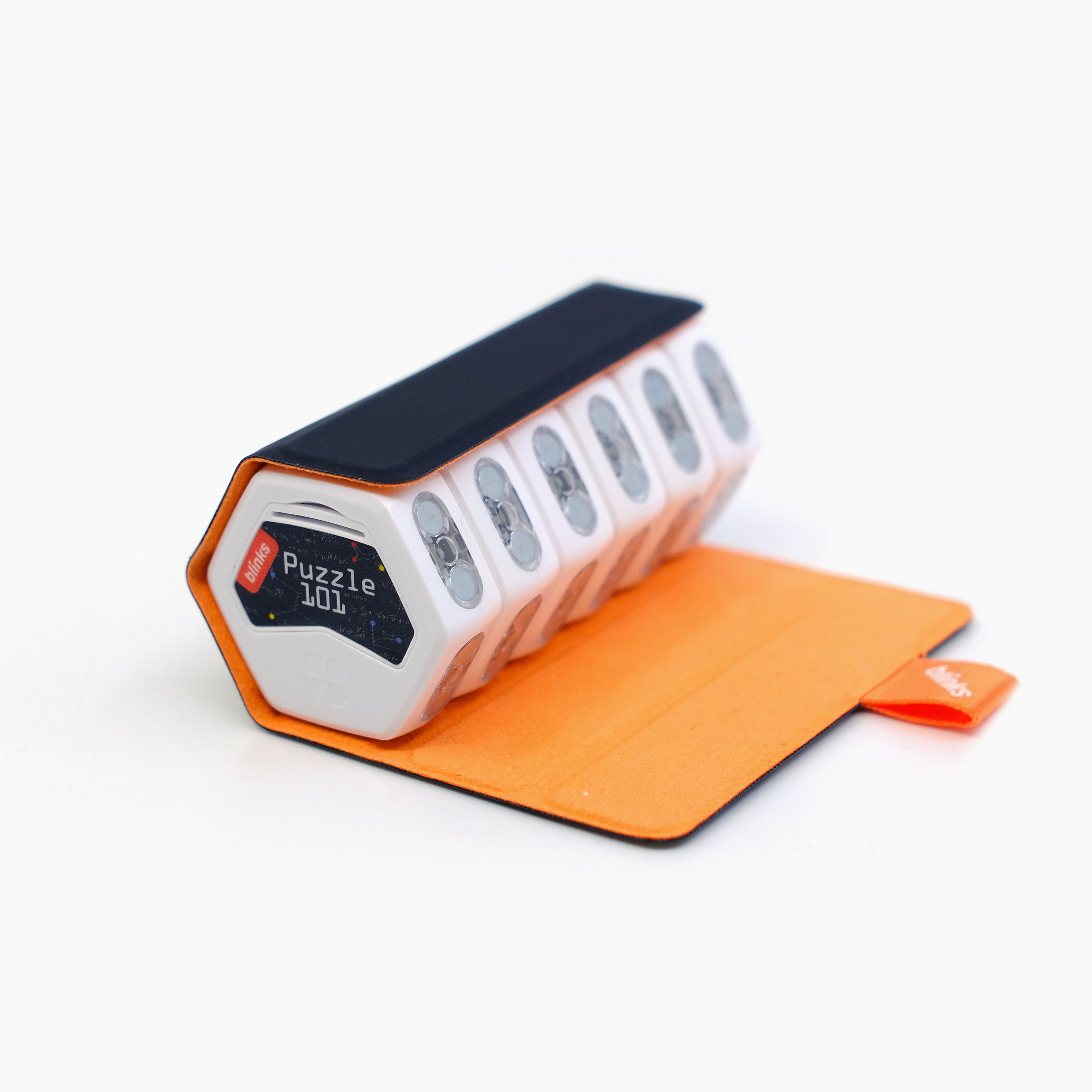 Sushi Roll Carry Case