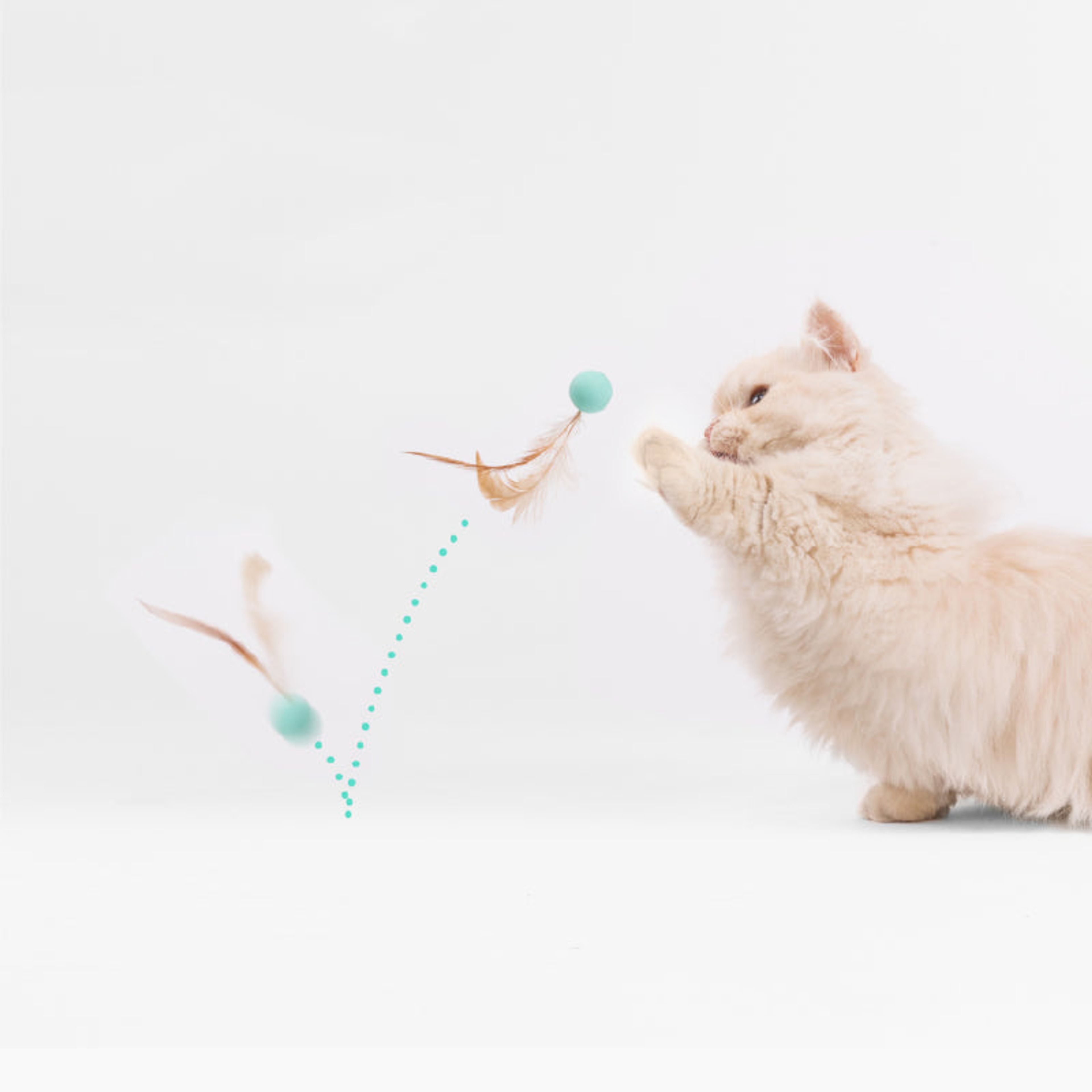Cat Toy - Bouncy Balls (3 PCS)