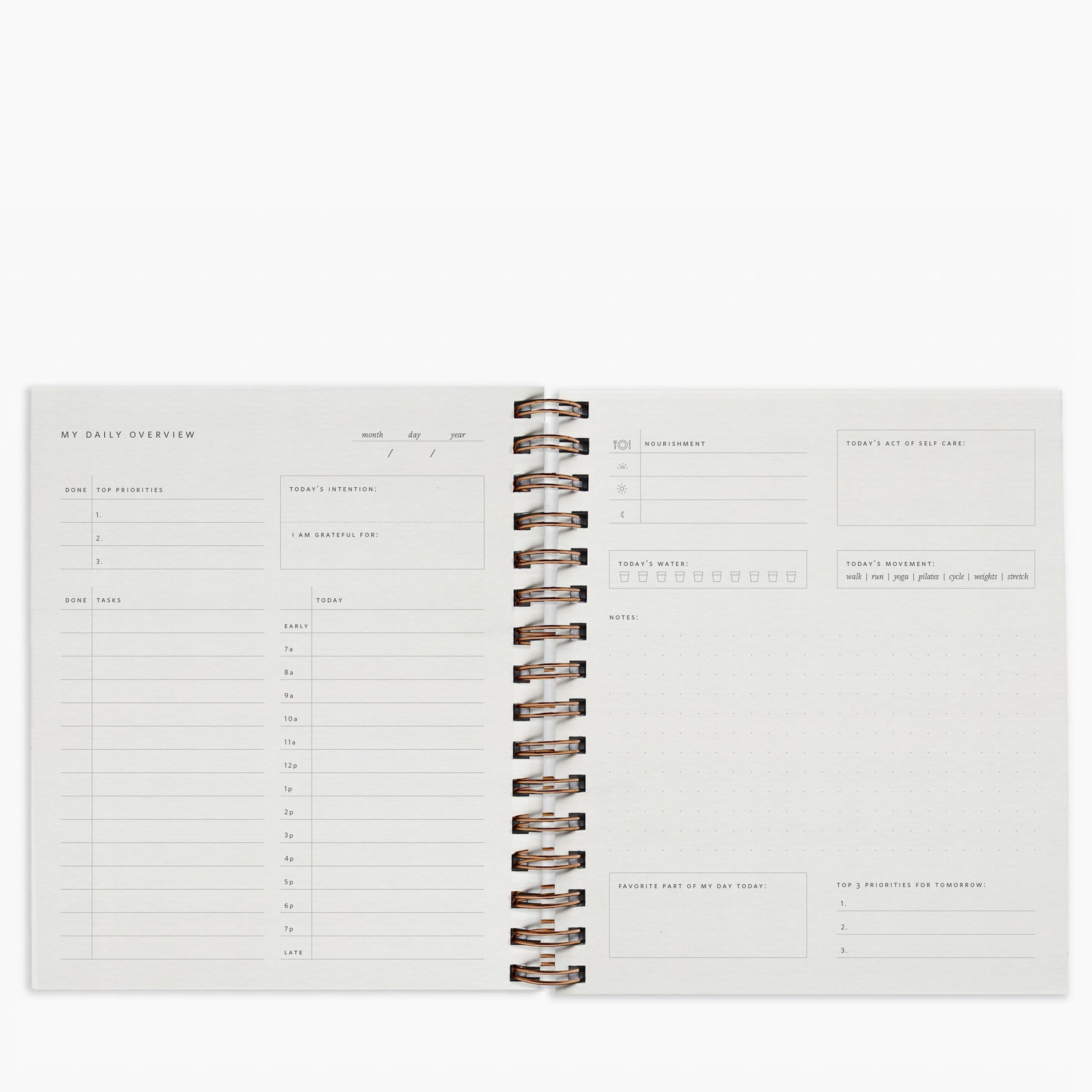 Daily Overview Planner in Dotty