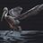 Pelican Landing - Fine Art Print