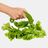 SaladShears Lettuce Chopper