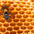 Save the Bees Room & Car Spray