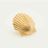 Seashell Earrings in 14k Yellow Gold