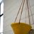 Bright Yellow & Terracotta Hanging Planter w/ "Horizon Line" Design - Hanging Pot w/ Carved Design - Succulent, Cactus, Herb, Air Plant, Etc